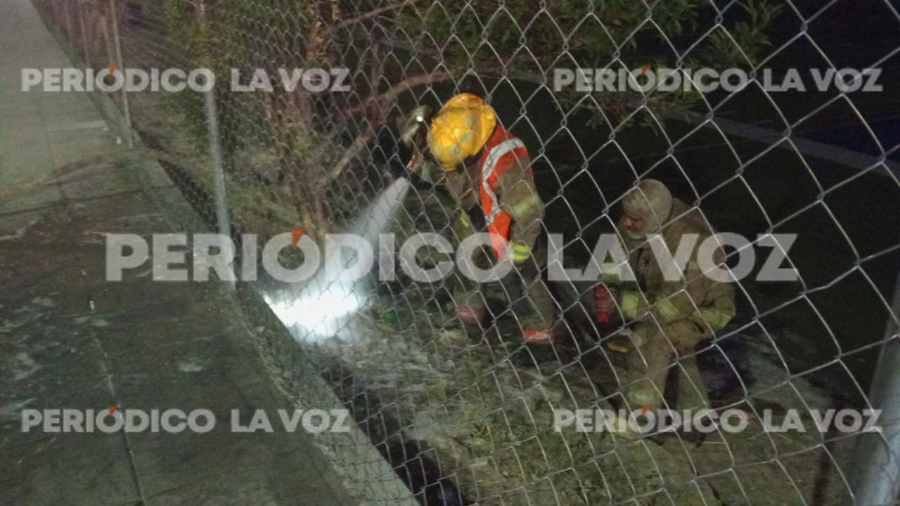 Ataque de abejas en la colonia Mezquital deja una niña y su madre heridas