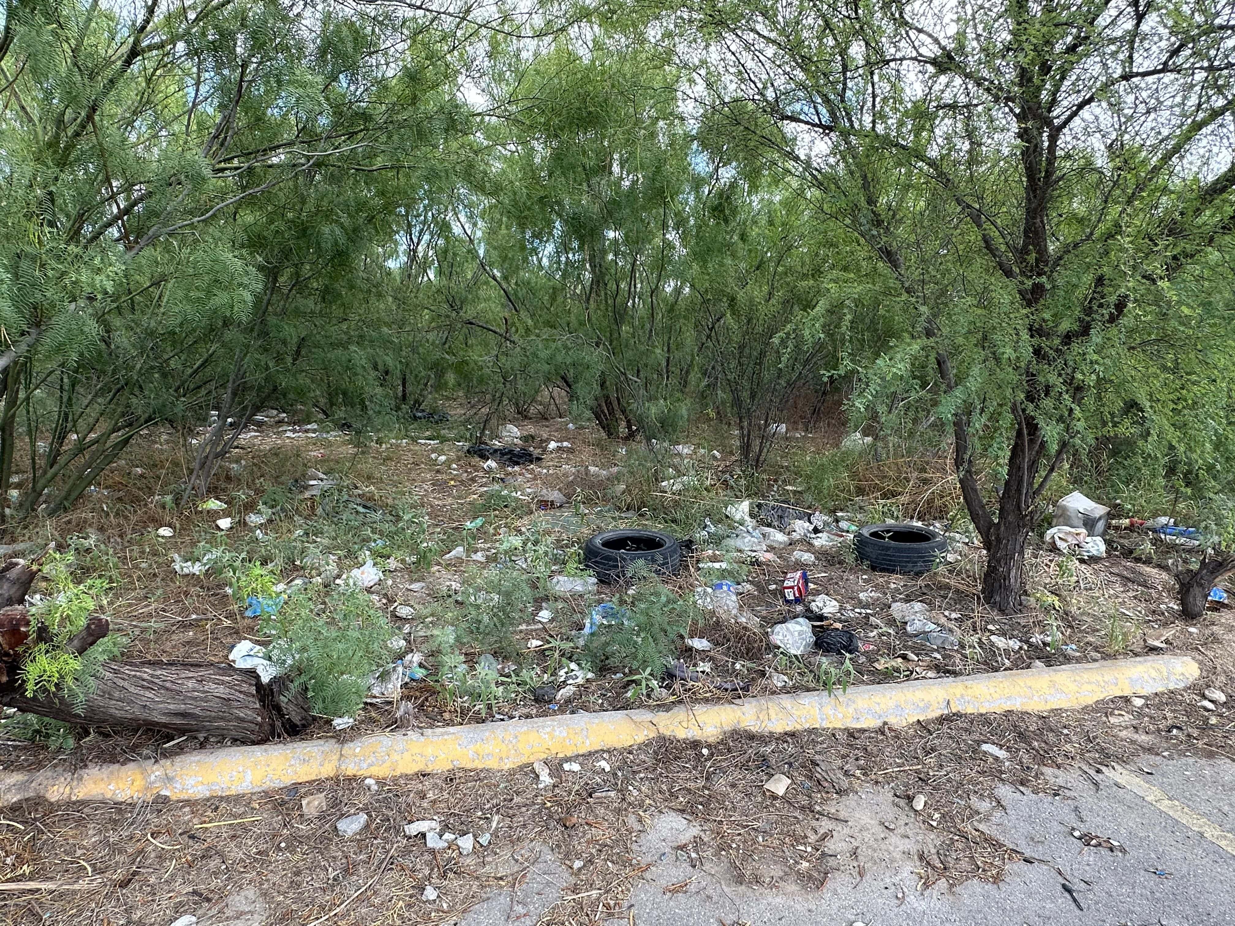 La voz en tu colonia: Viven entre ratas, basura y olvido en la Maravillas