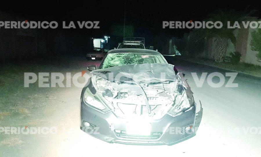 Conductor herido tras colisión con caballo en Frontera