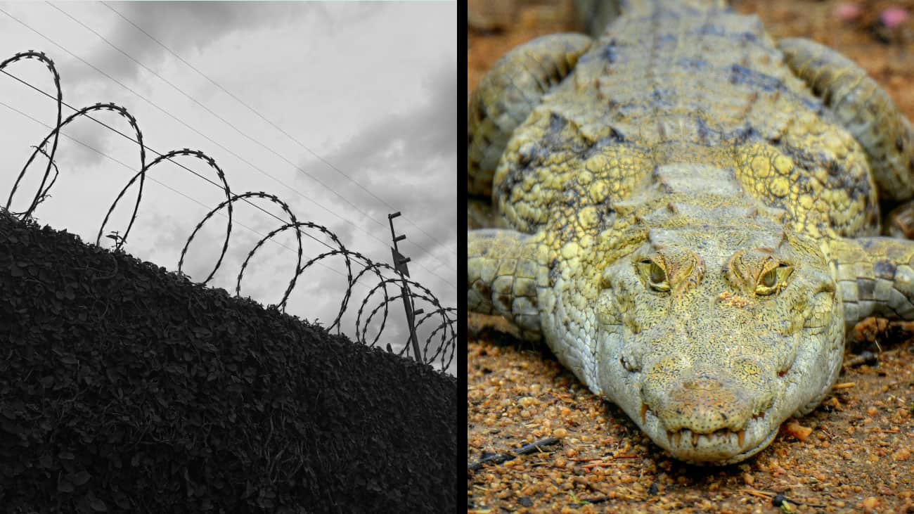 Florida aprueba construcción de prisión Alcatraz Cocodrilo para migrantes ilegales