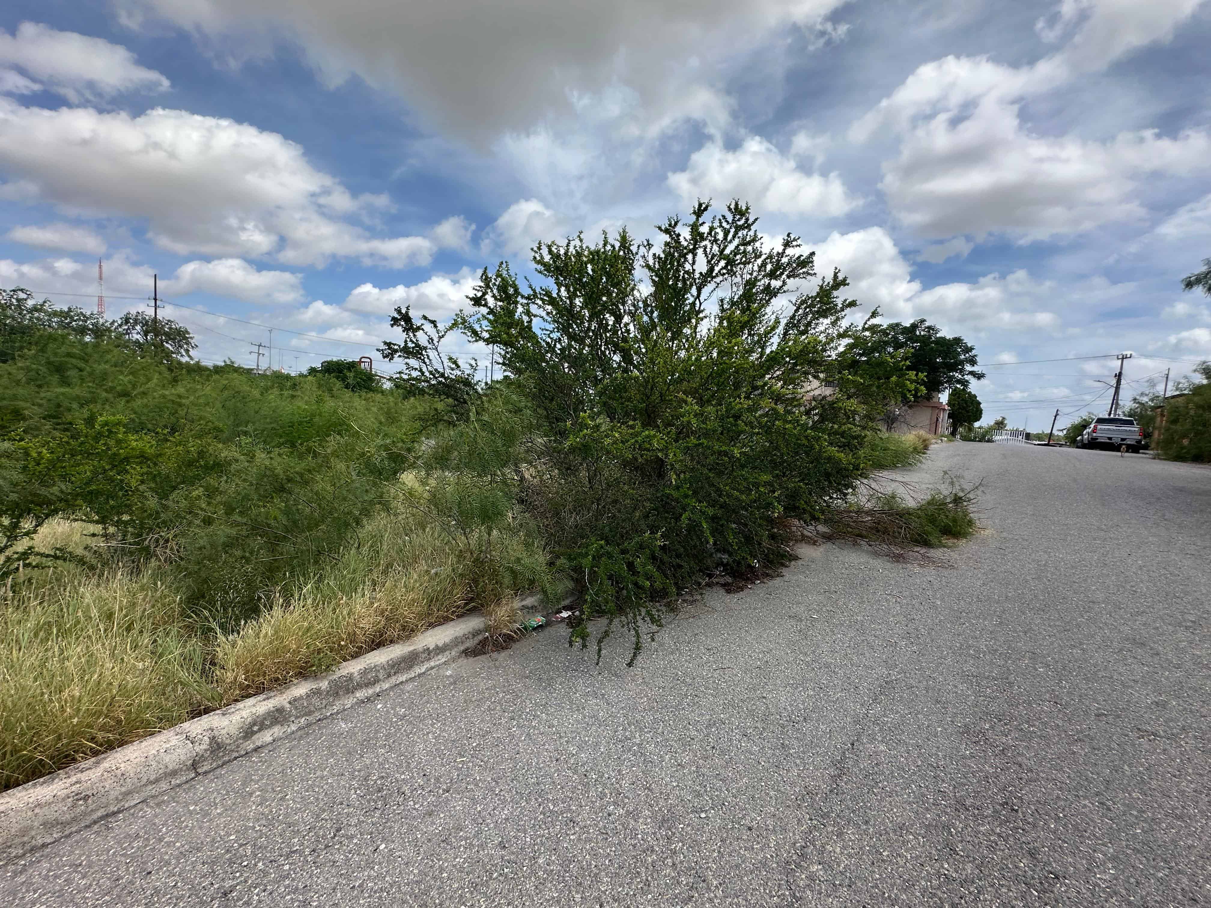 La voz en tu colonia: Reclaman vecinos abandono total en la Emilio Carranza