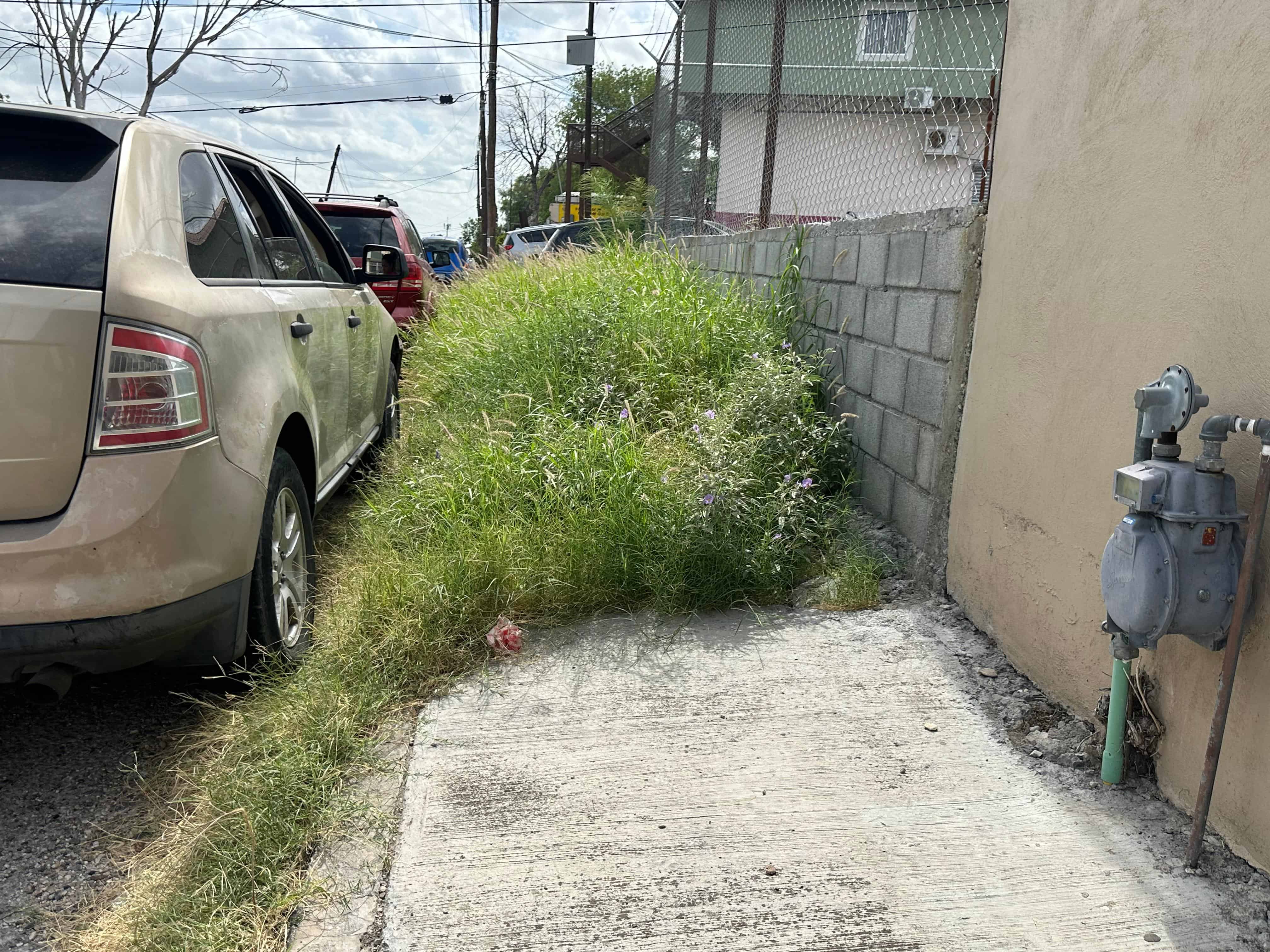 La voz en tu colonia: Reclaman vecinos abandono total en la Emilio Carranza