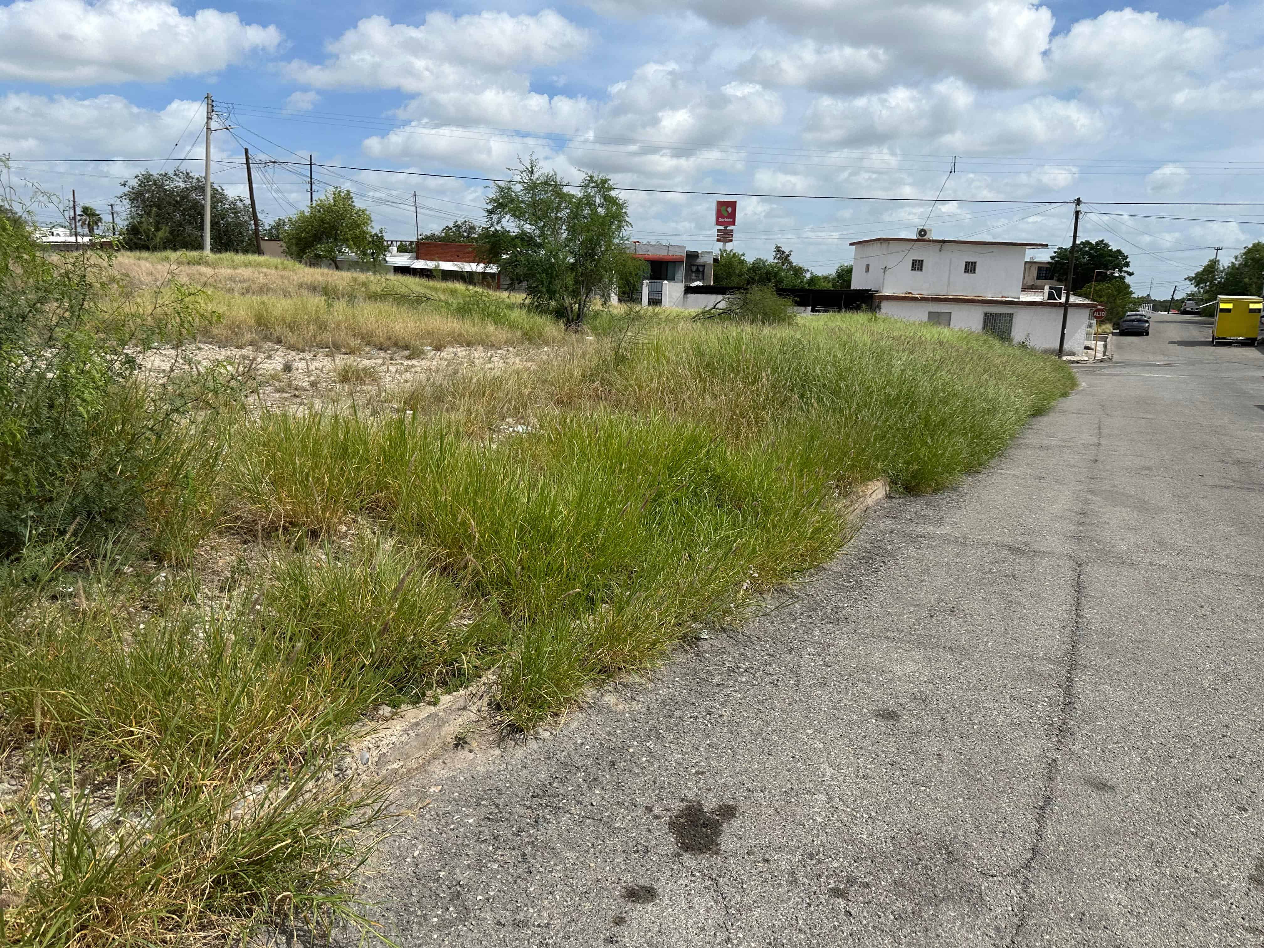 La voz en tu colonia: Reclaman vecinos abandono total en la Emilio Carranza