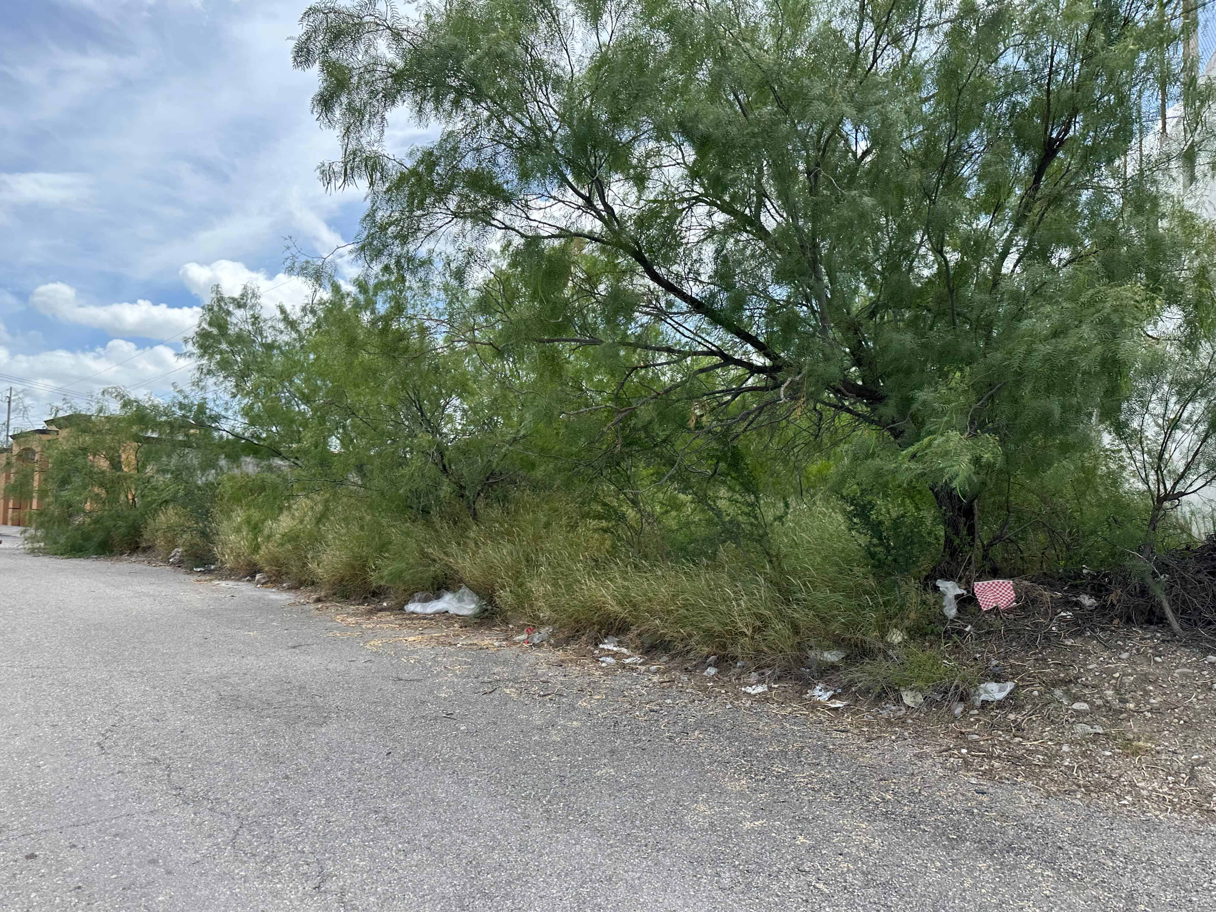 La voz en tu colonia: Reclaman vecinos abandono total en la Emilio Carranza