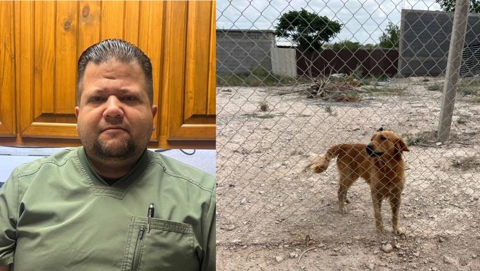 Temen expansión del gusano barrenador en mascotas al norte de México