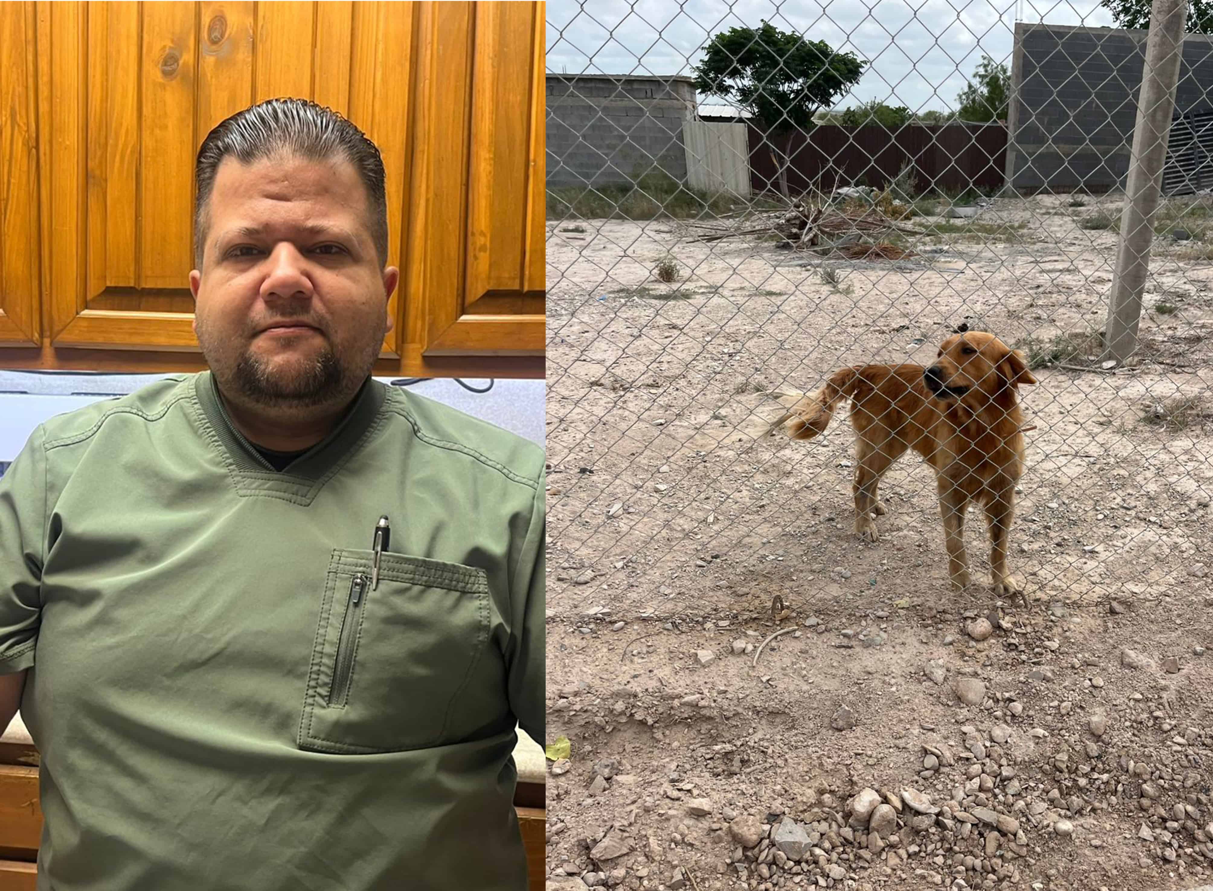 Temen expansión del gusano barrenador en mascotas al norte de México