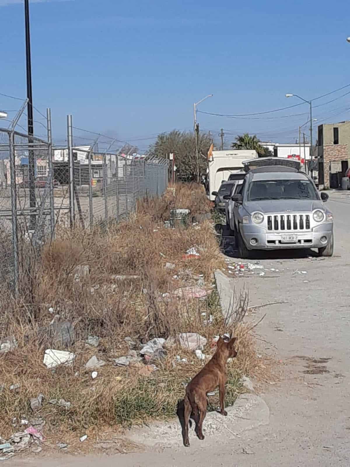 Denuncian abandono y riesgo sanitario en colonia Las Granjas