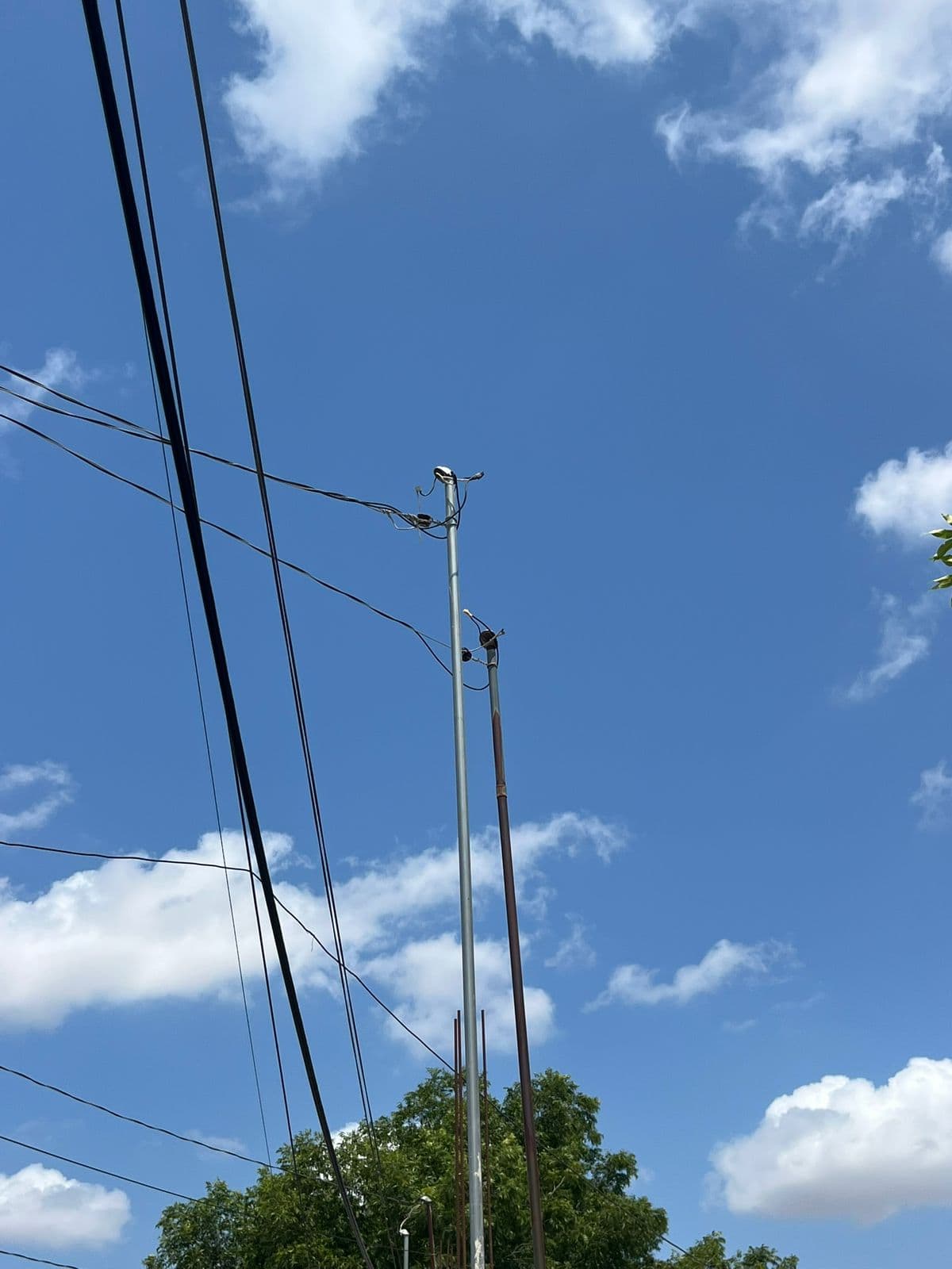 La voz en tu colonia: Conviven con el abandono en Nueva Laguna