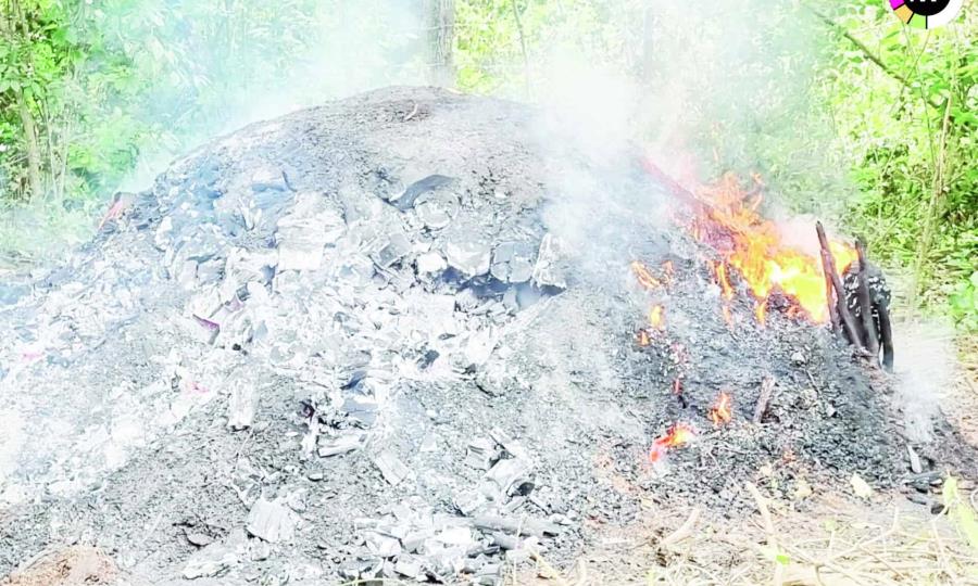 Detección de operación irregular en producción de carbón vegetal