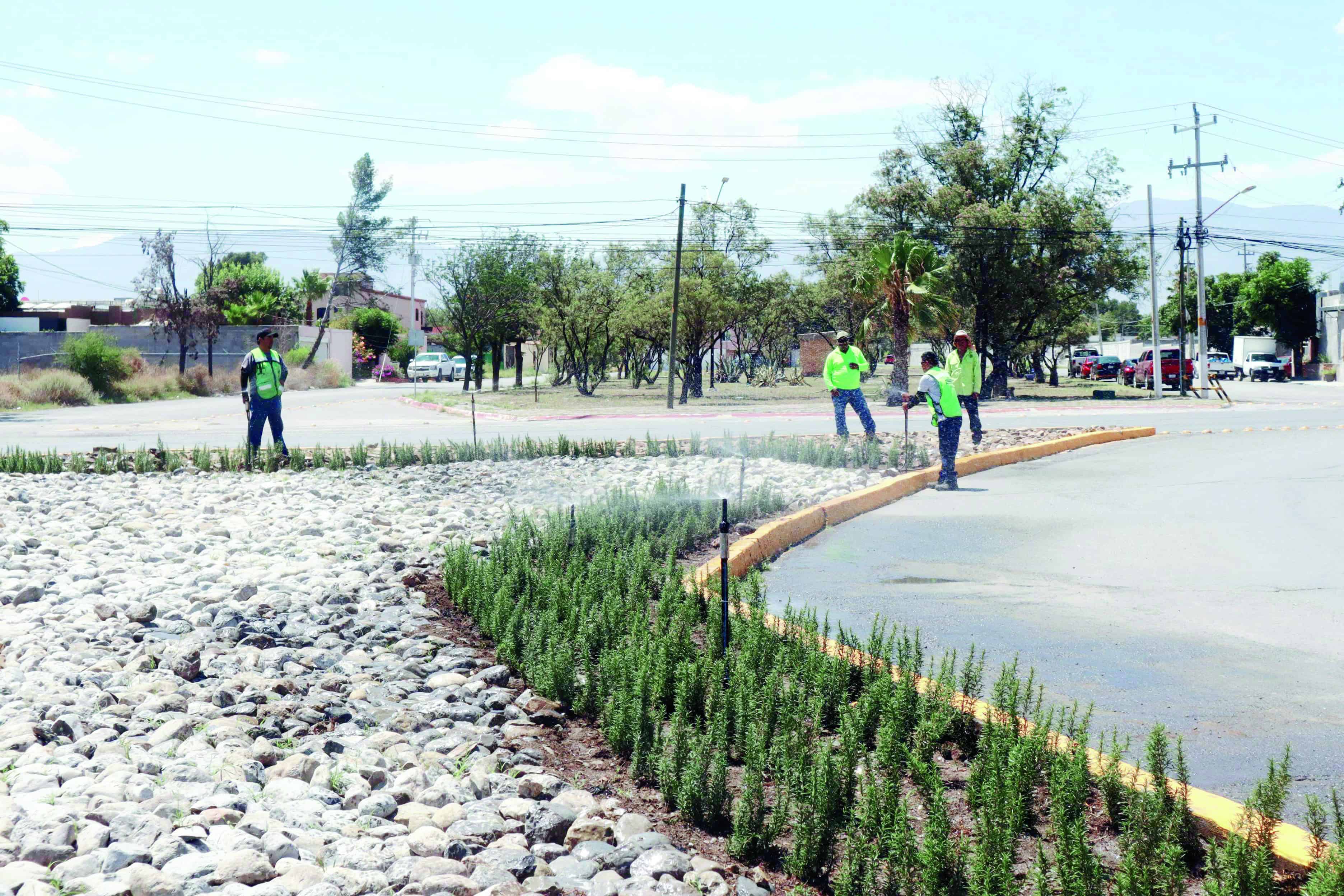 Rehabilitan entrada poniente de Saltillo