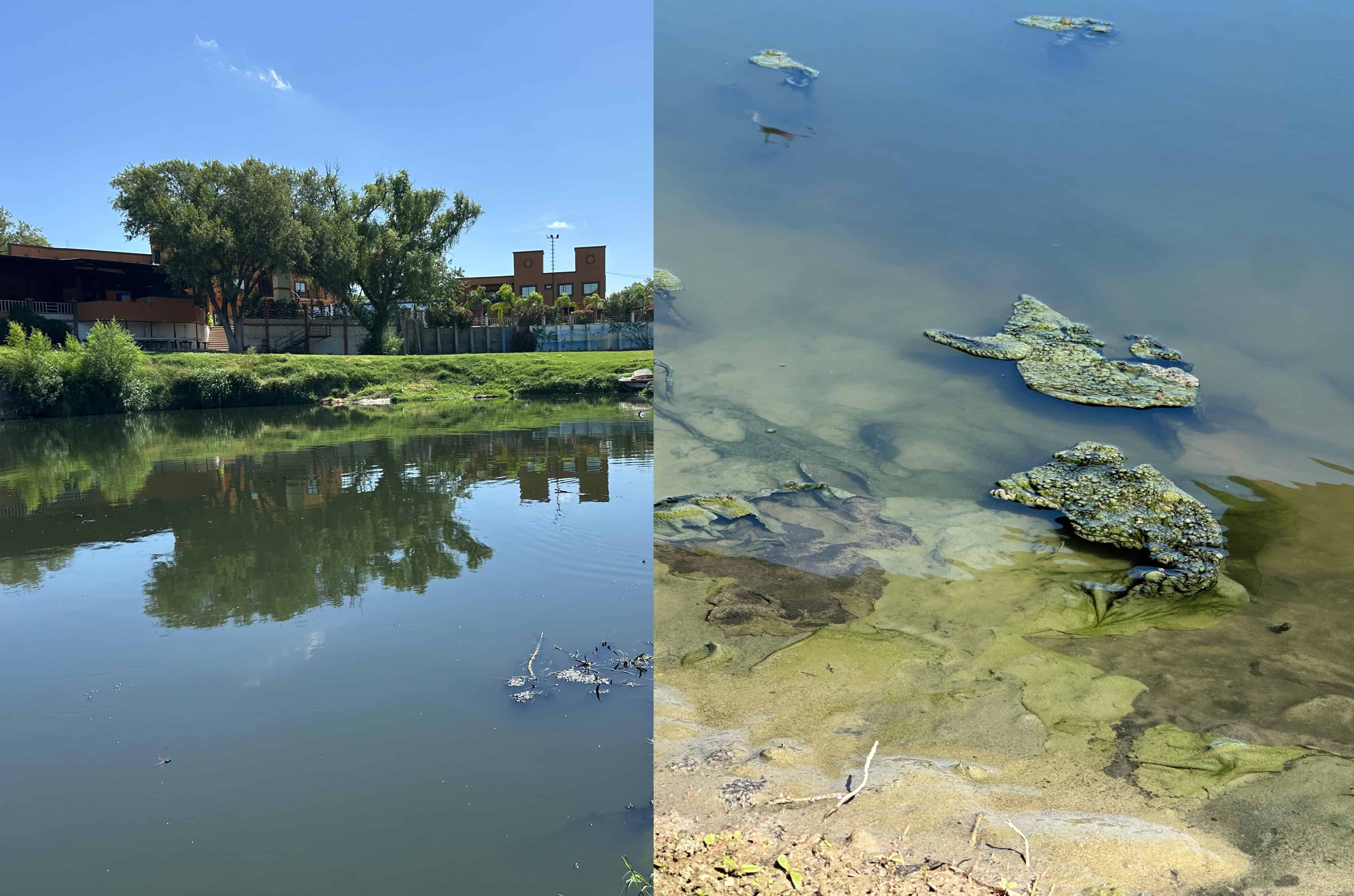 Solo son aguas negras: Municipio permite la muerte del río Escondido