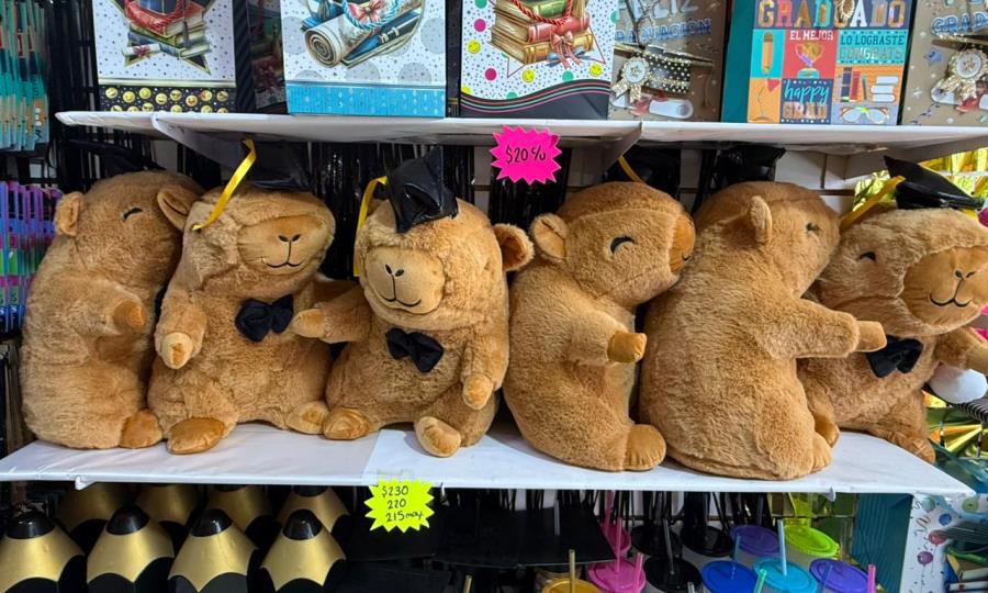 Egresados de Monclova celebran con peluches y globos