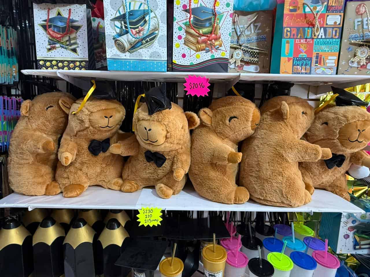 Egresados de Monclova celebran con peluches y globos