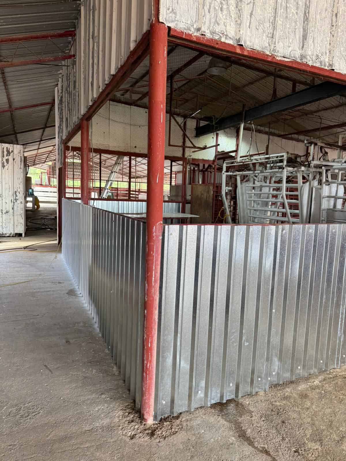 Ganaderos del norte celebran control del gusano barrenador y se alistan para exportar