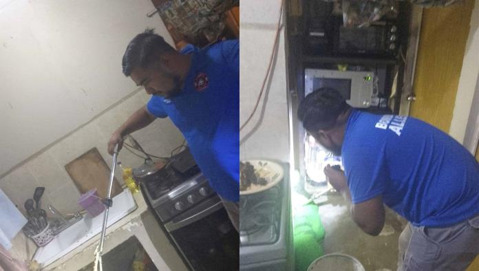 Aparece serpiente en baño y moviliza a cuerpos de rescate en Allende