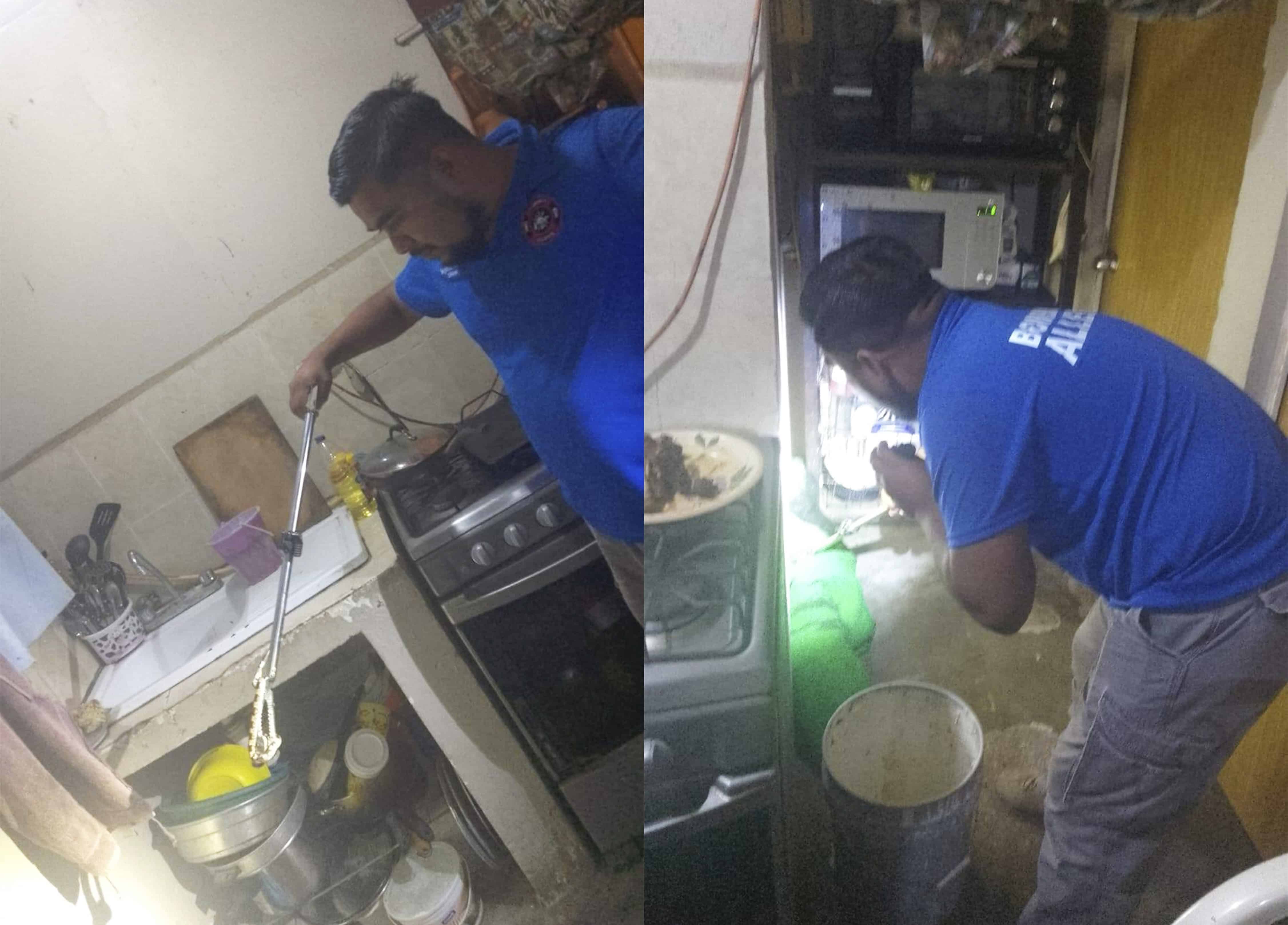 Aparece serpiente en baño y moviliza a cuerpos de rescate en Allende