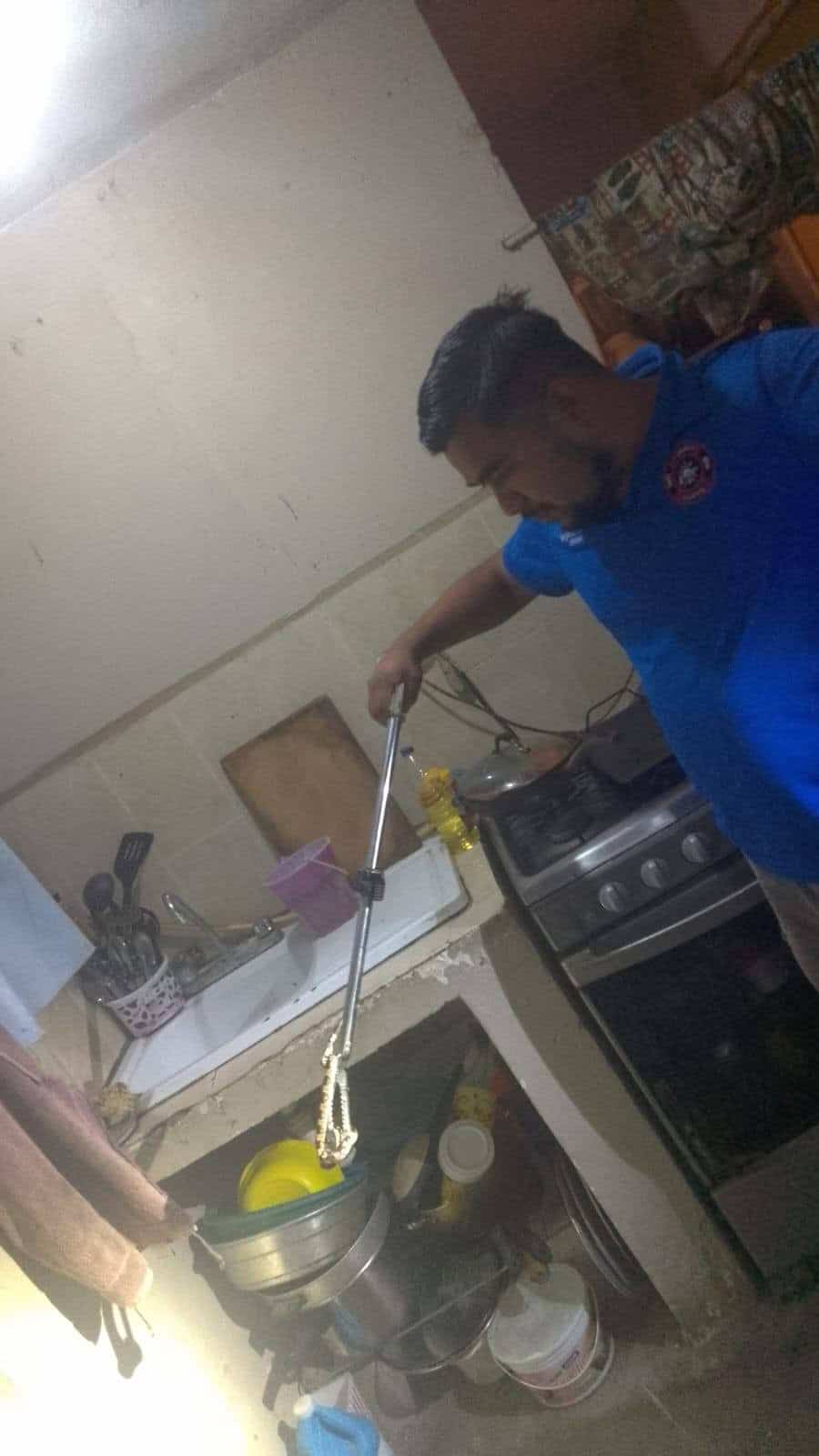 Aparece serpiente en baño y moviliza a cuerpos de rescate en Allende