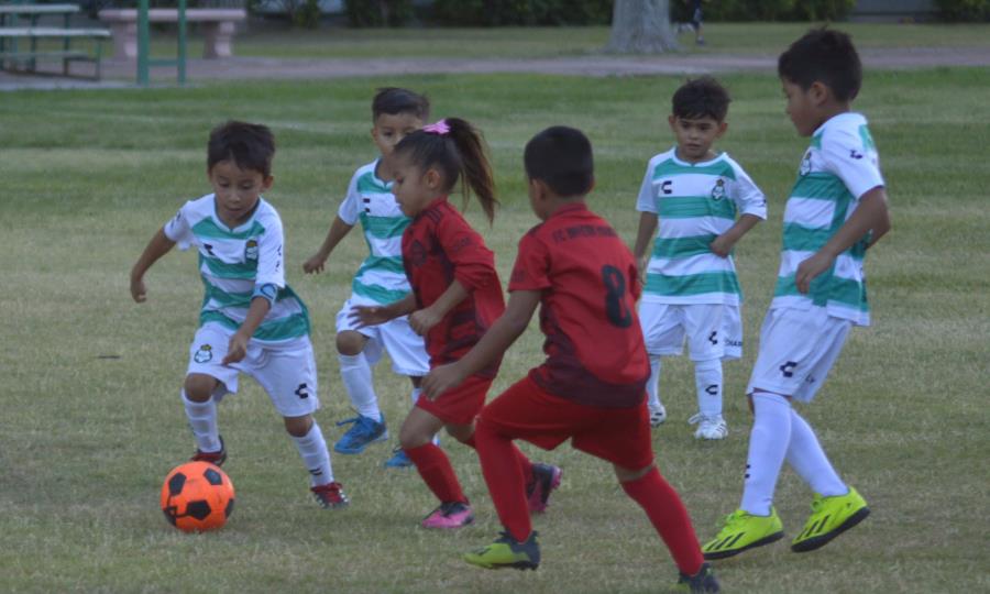 Pachuca elimina a Tuzos Monclova y avanza a semifinales Cascarón