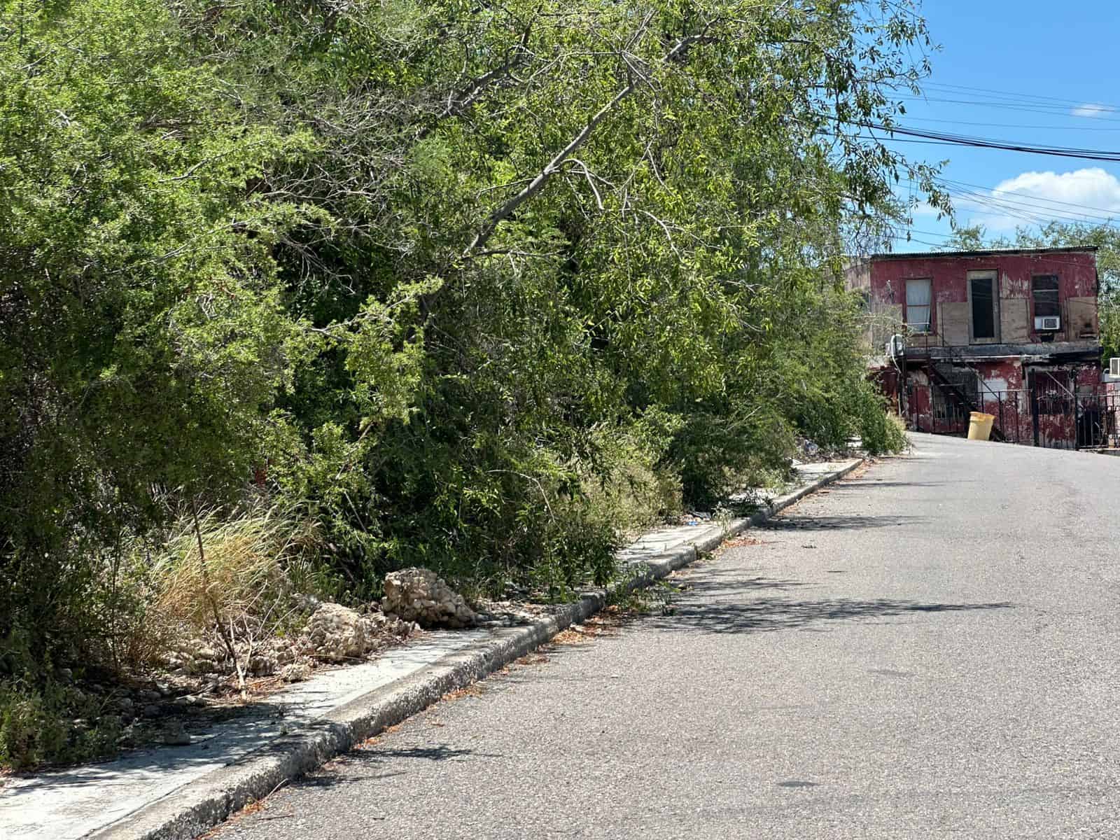 La voz en tu colonia: Abandono en Nueva Vista Hermosa, vecinos exigen soluciones urgentes