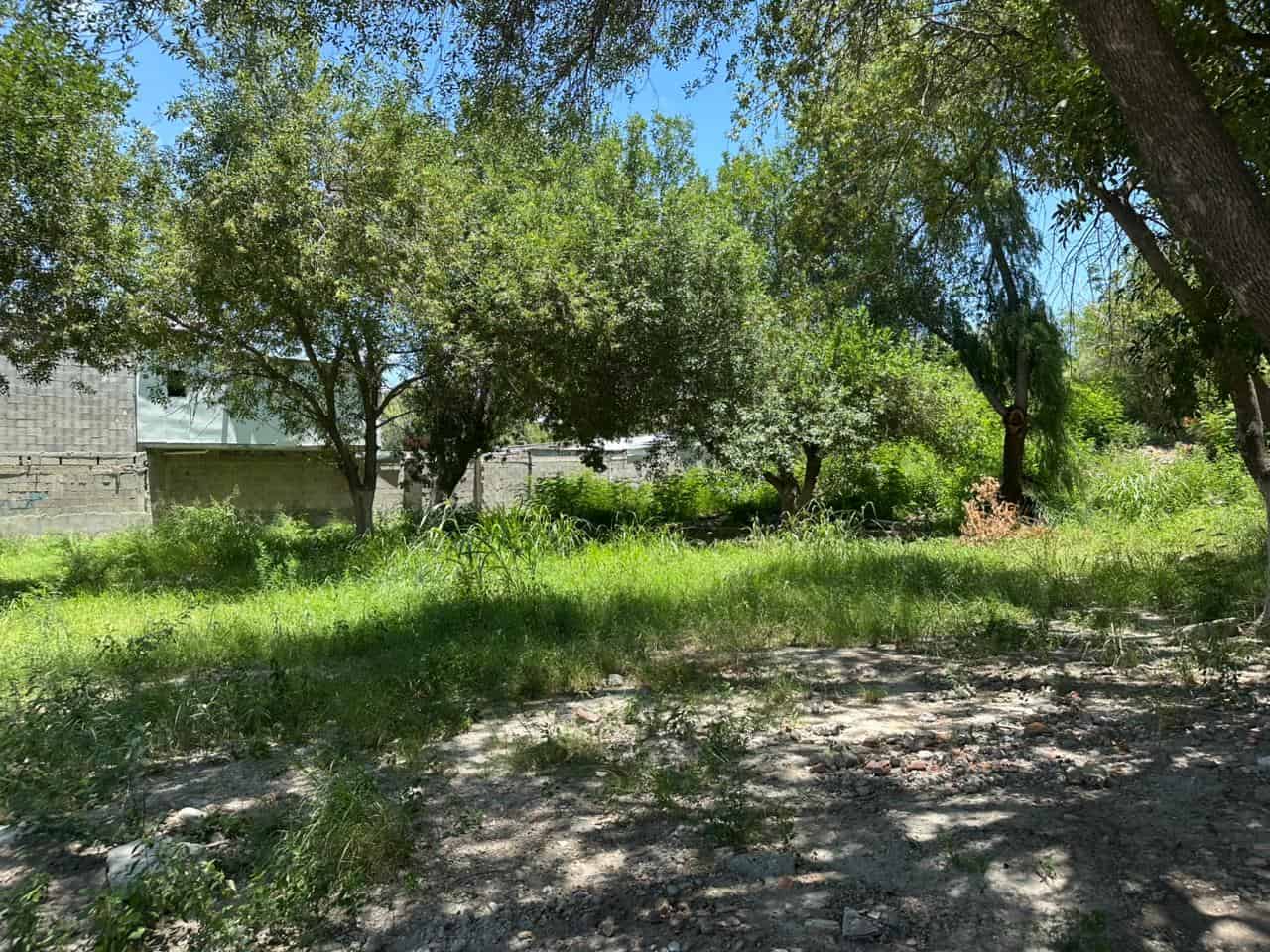 La voz en tu colonia: Abandono en Nueva Vista Hermosa, vecinos exigen soluciones urgentes