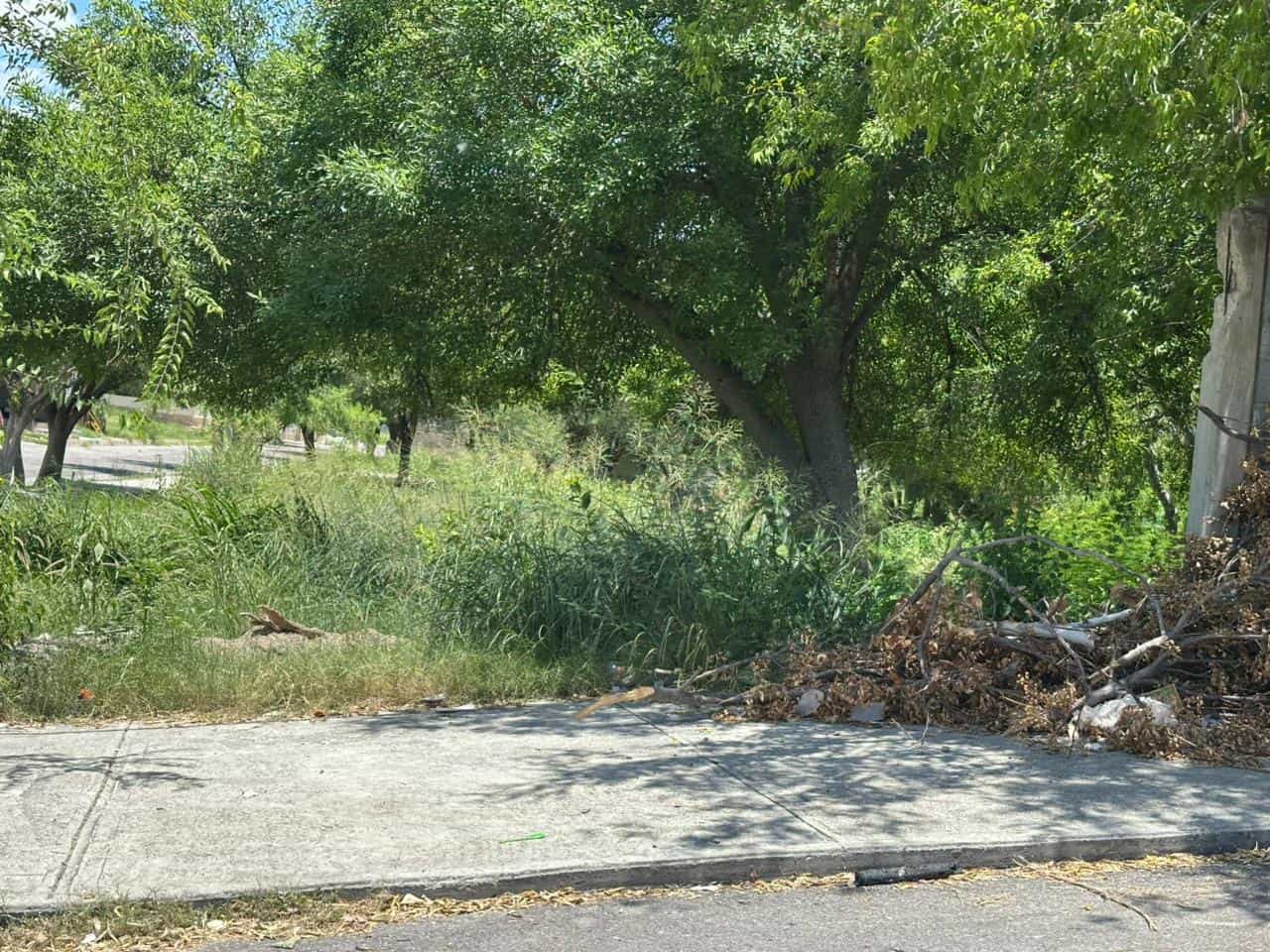 La voz en tu colonia: Abandono en Nueva Vista Hermosa, vecinos exigen soluciones urgentes