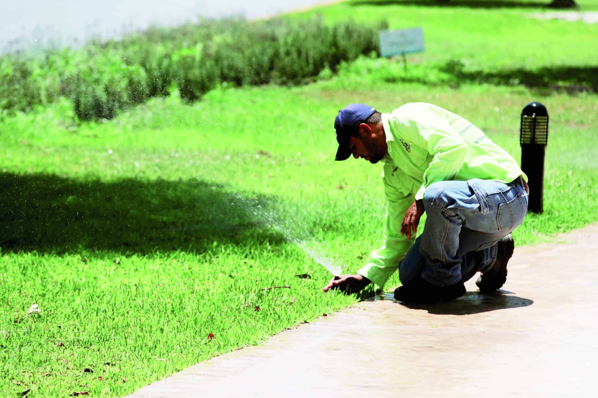 Riegan la ciudad con agua tratada