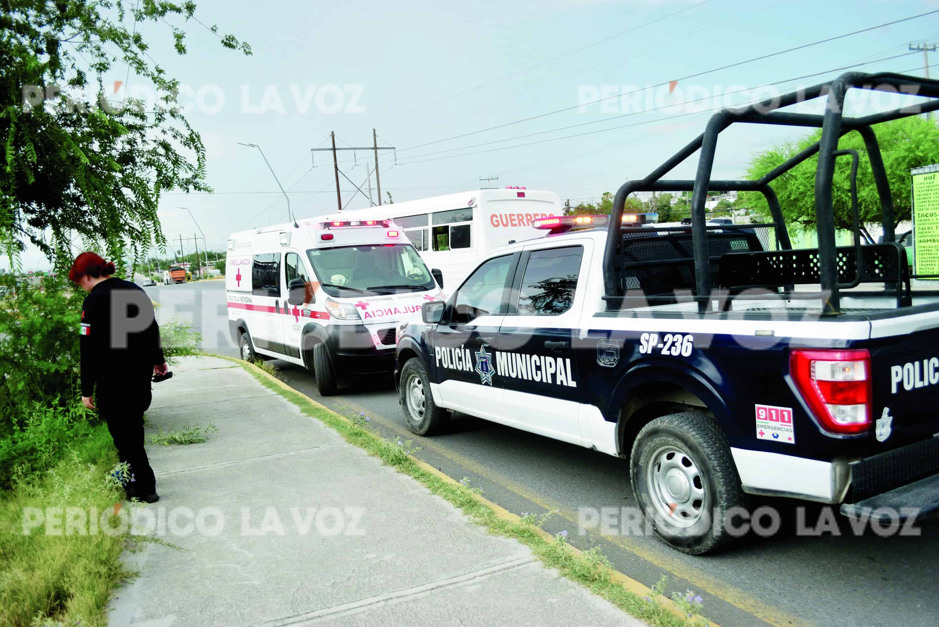 Atropello en Monclova: Pepito No Puede Moverse y Es Hospitalizado