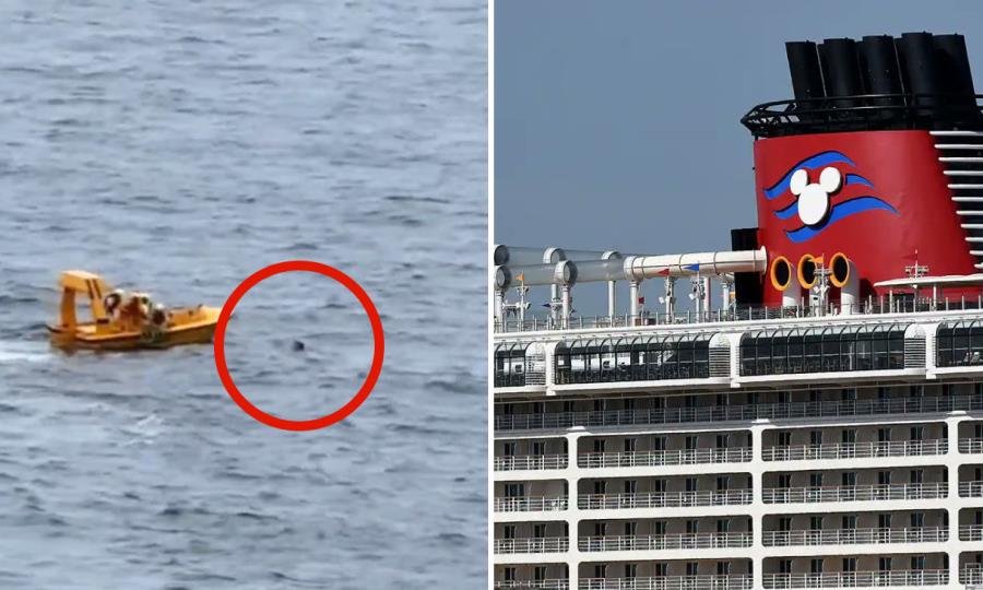 Padre se Lanza al Mar para Salvar a su Hija en Crucero Disney Dream