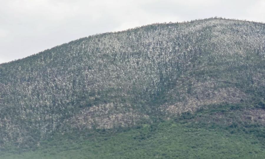 Sorprende Granizada en “Los Chorros”