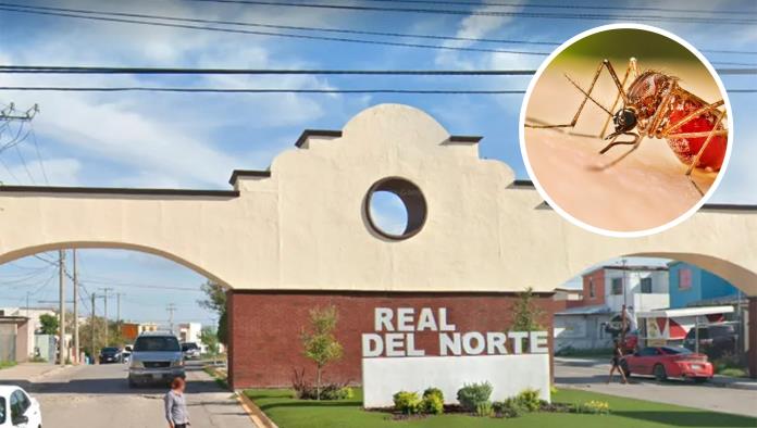 Detectan caso sospechoso de dengue en colonia Real del Norte; activan cerco sanitario