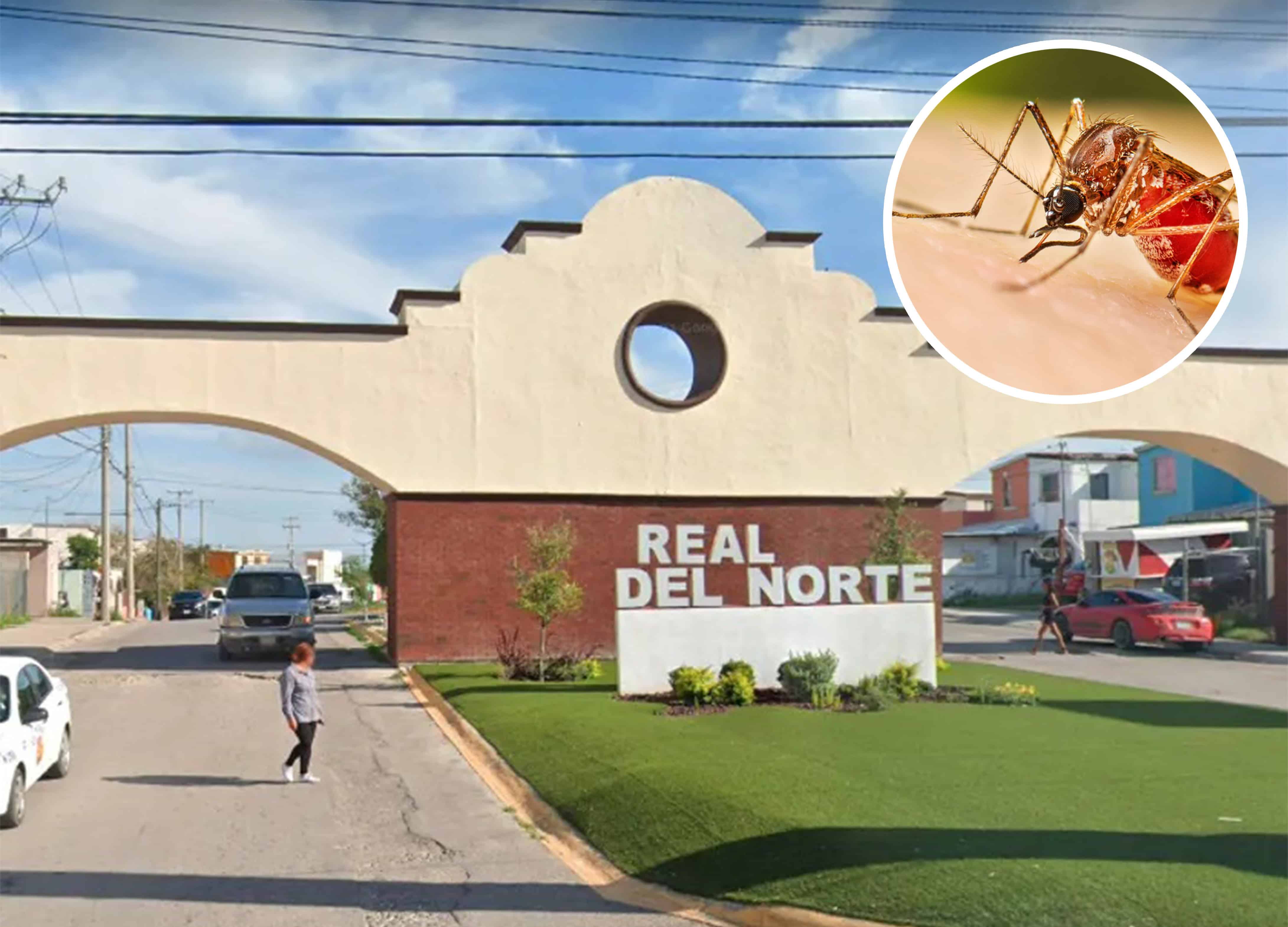 Detectan caso sospechoso de dengue en colonia Real del Norte; activan cerco sanitario