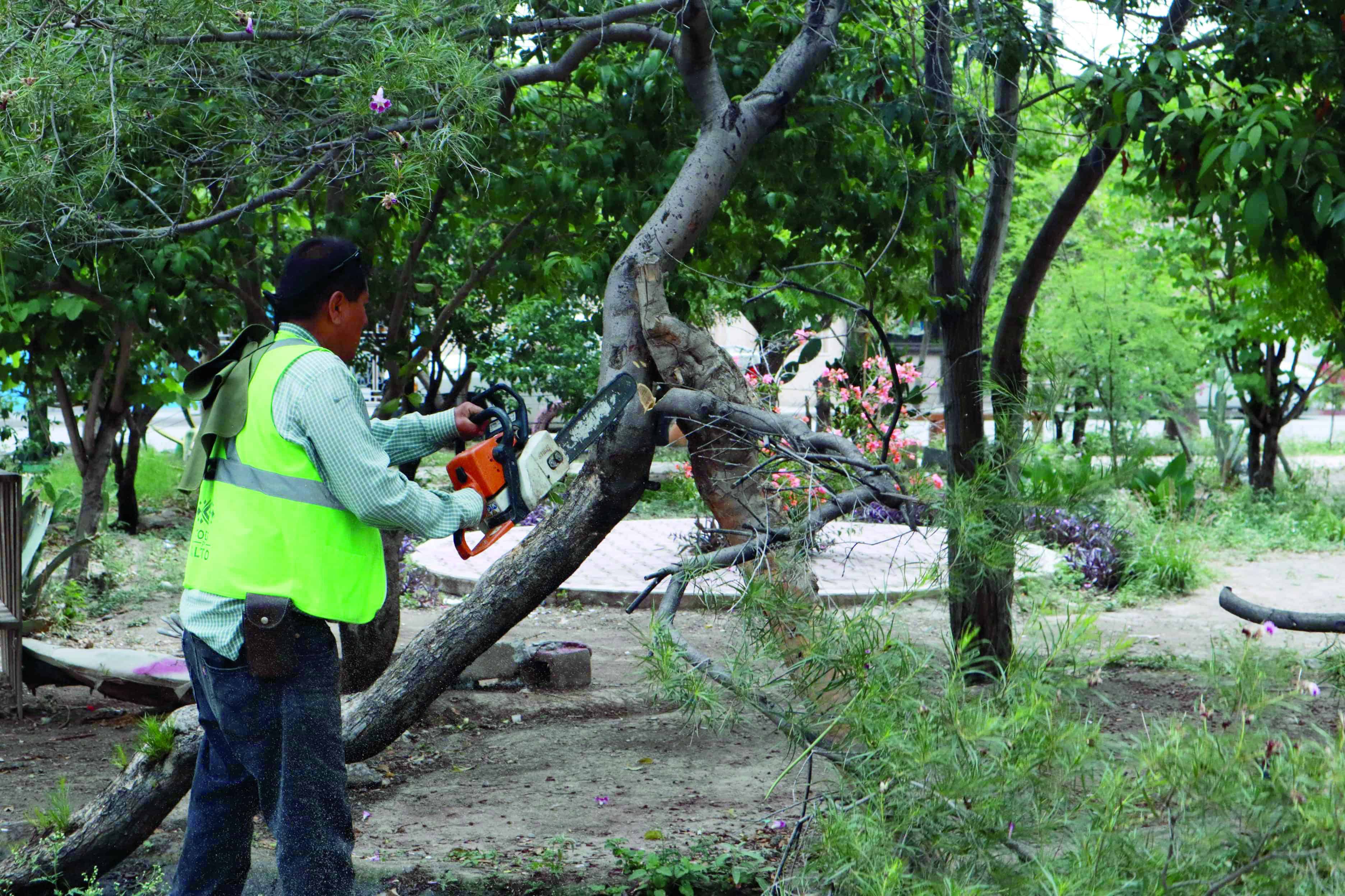Continúa rescate de plazas públicas