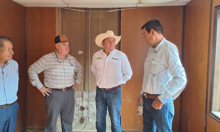 Avanza 90% el puerto cuarentenario de Acuña para exportación de ganado a EE.UU.