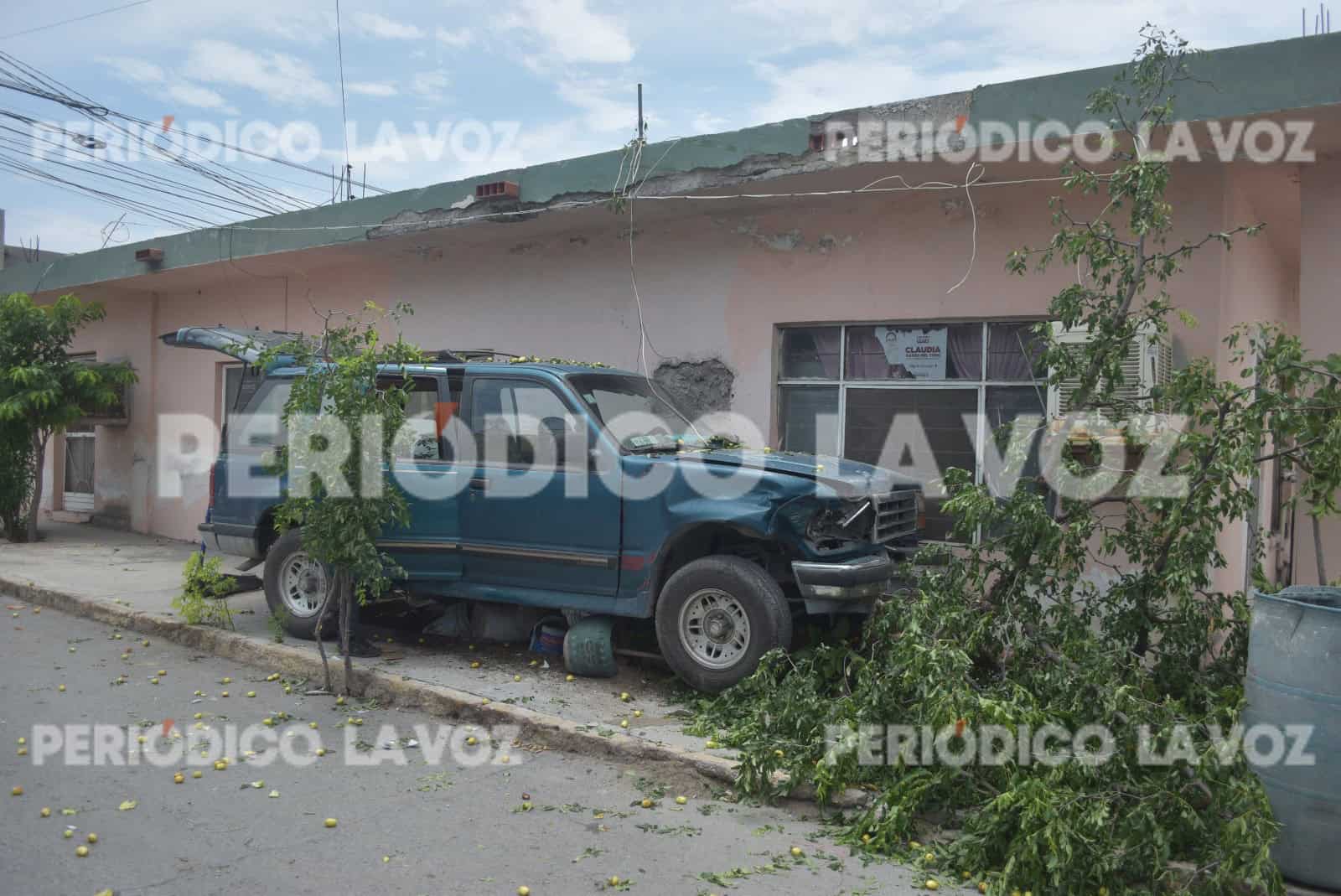 Derriba manzano por culpa de cafre