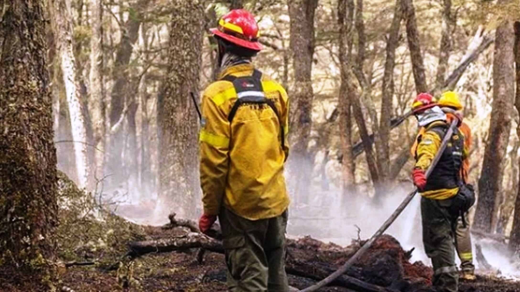 Destaca Coahuila en combate de incendios 