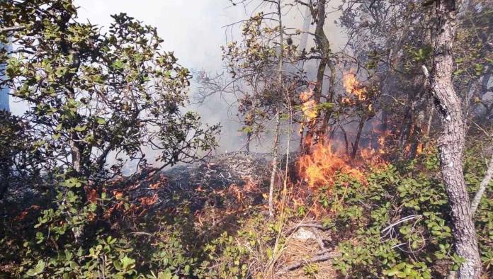 Destaca Coahuila en combate de incendios 