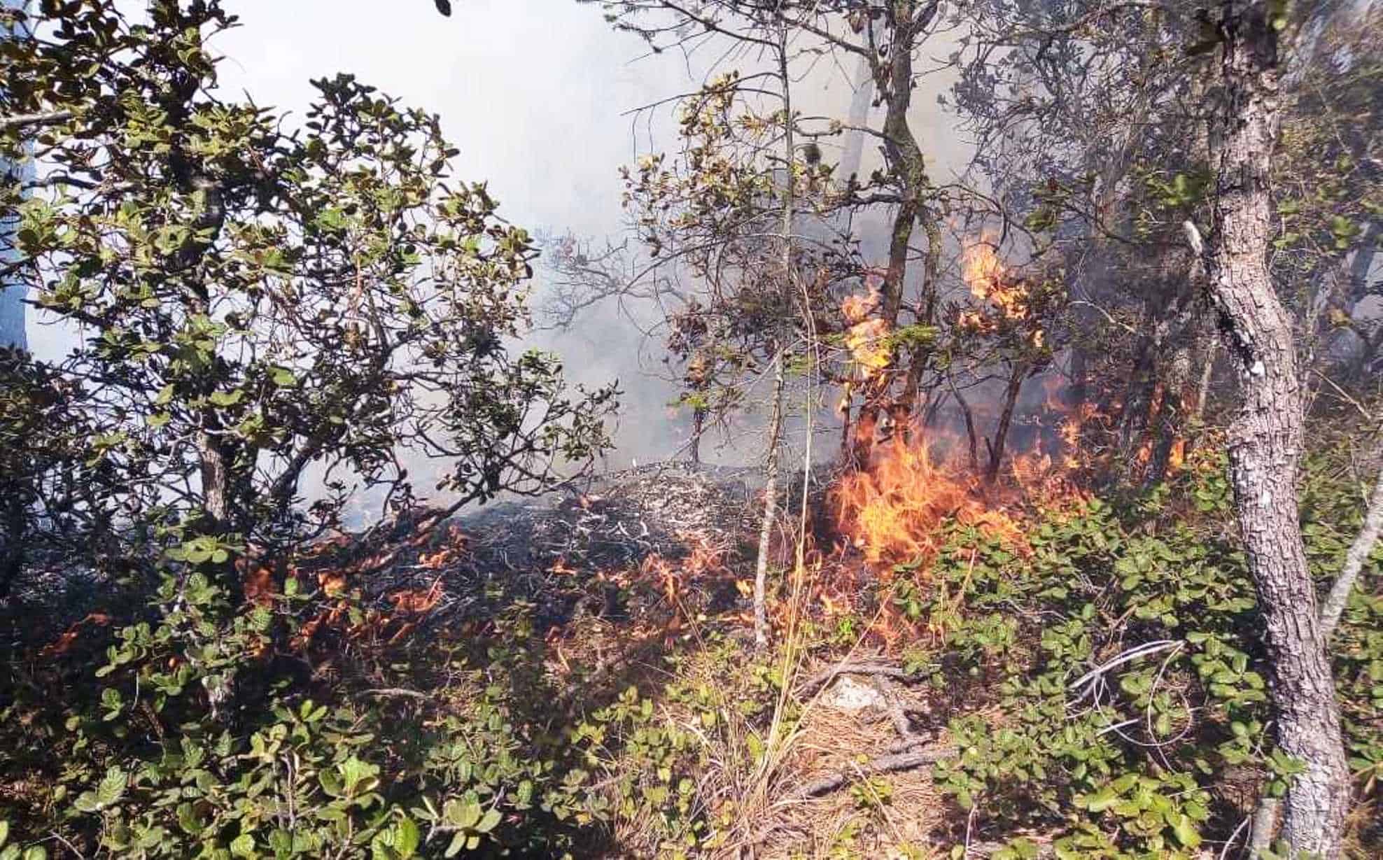 Destaca Coahuila en combate de incendios 