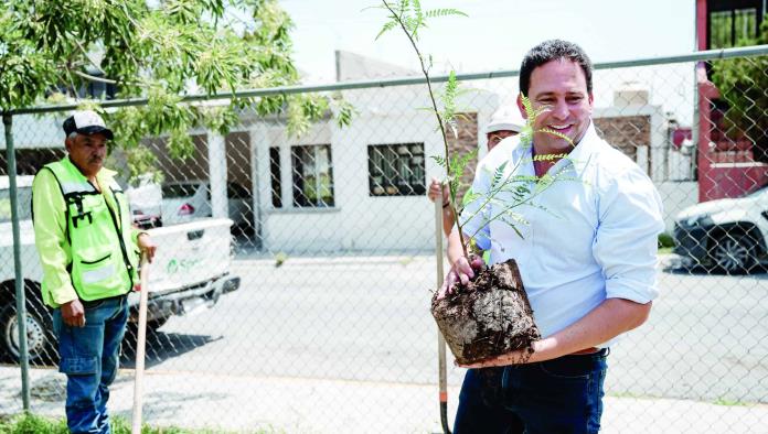 Reforesta Saltillo 7 mil 823 árboles