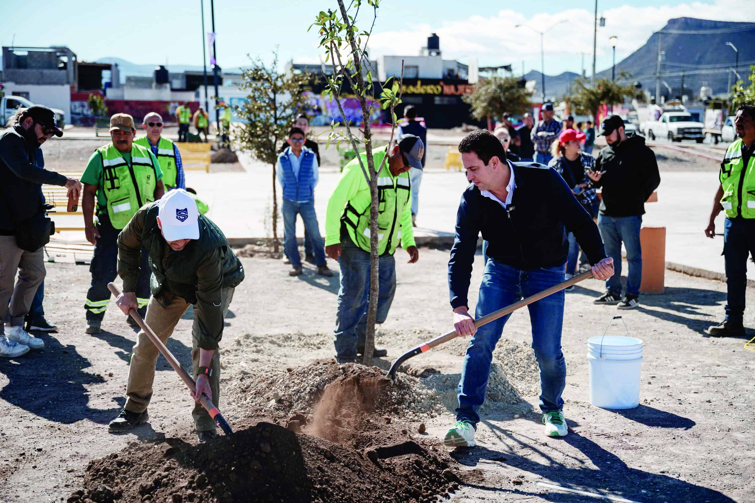 Reforesta Saltillo 7 mil 823 árboles