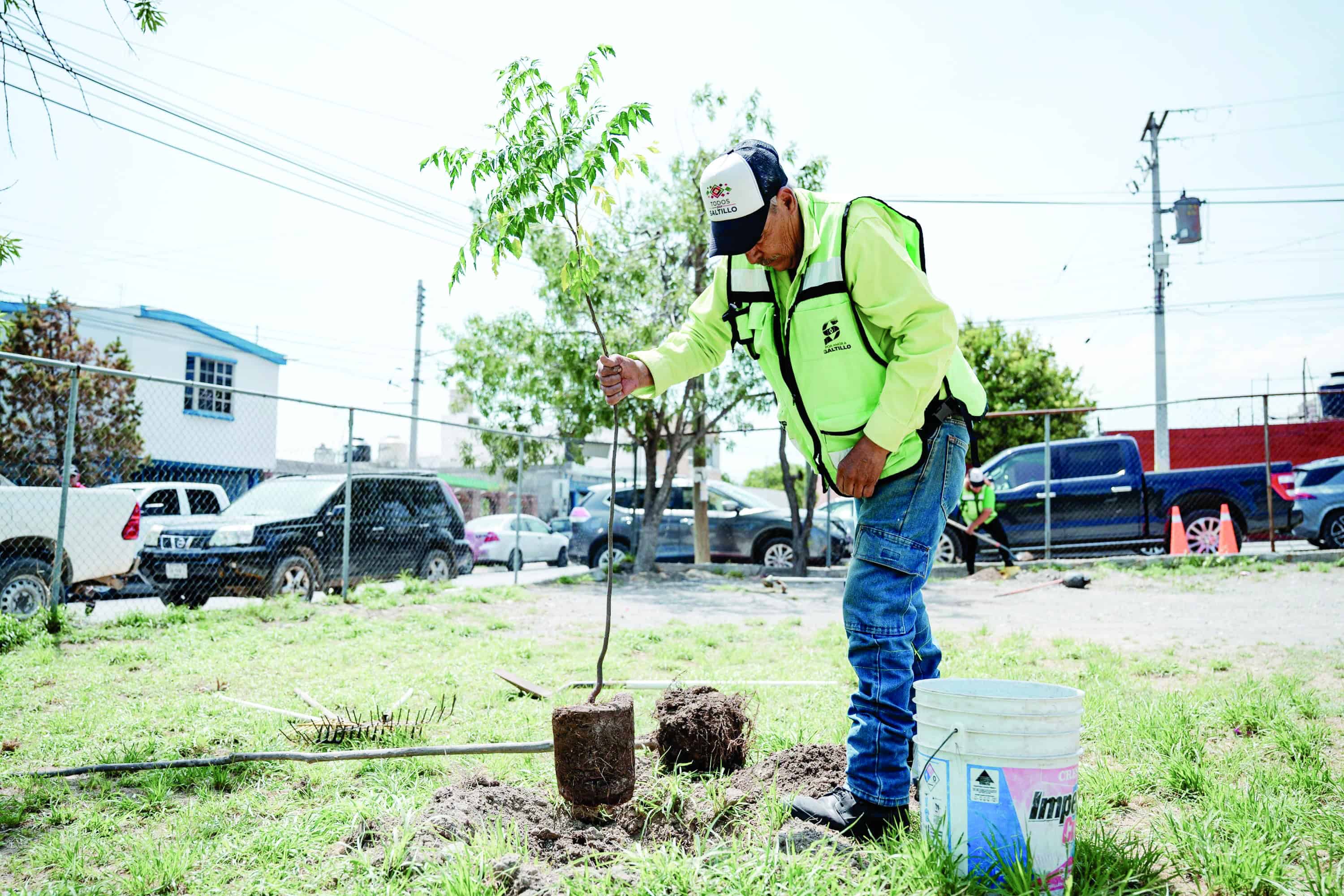Reforesta Saltillo 7 mil 823 árboles