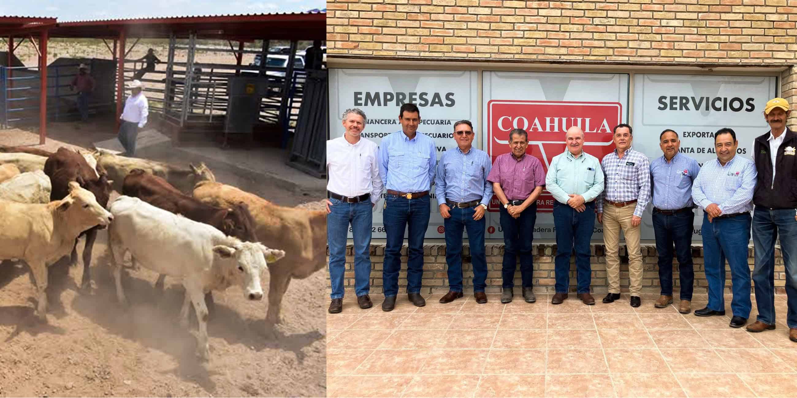 Unión Ganadera y autoridades federales refuerzan sanidad animal en Coahuila