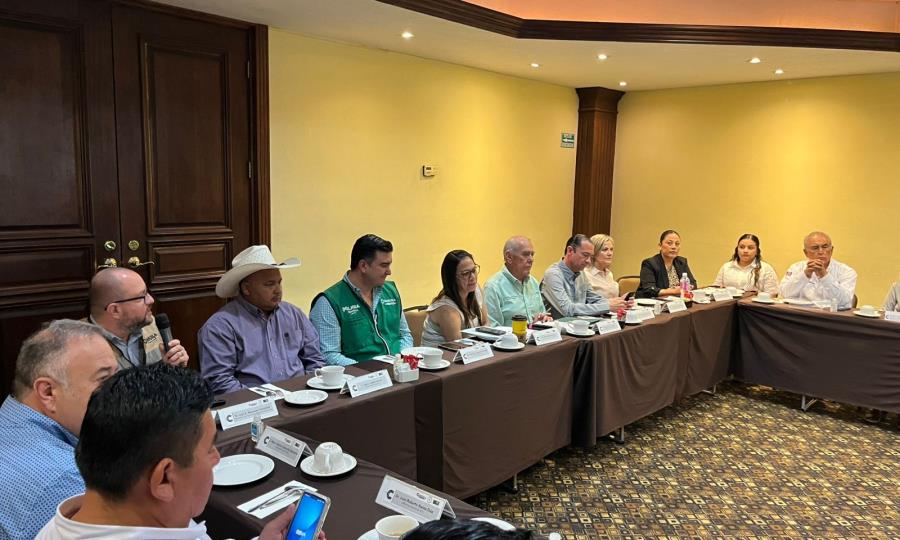 Reunión clave para prevenir el dengue en Coahuila