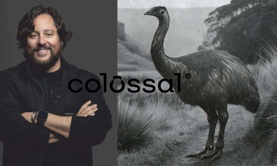 Colossal Biosciences planea resucitar al moa gigante en Nueva Zelanda