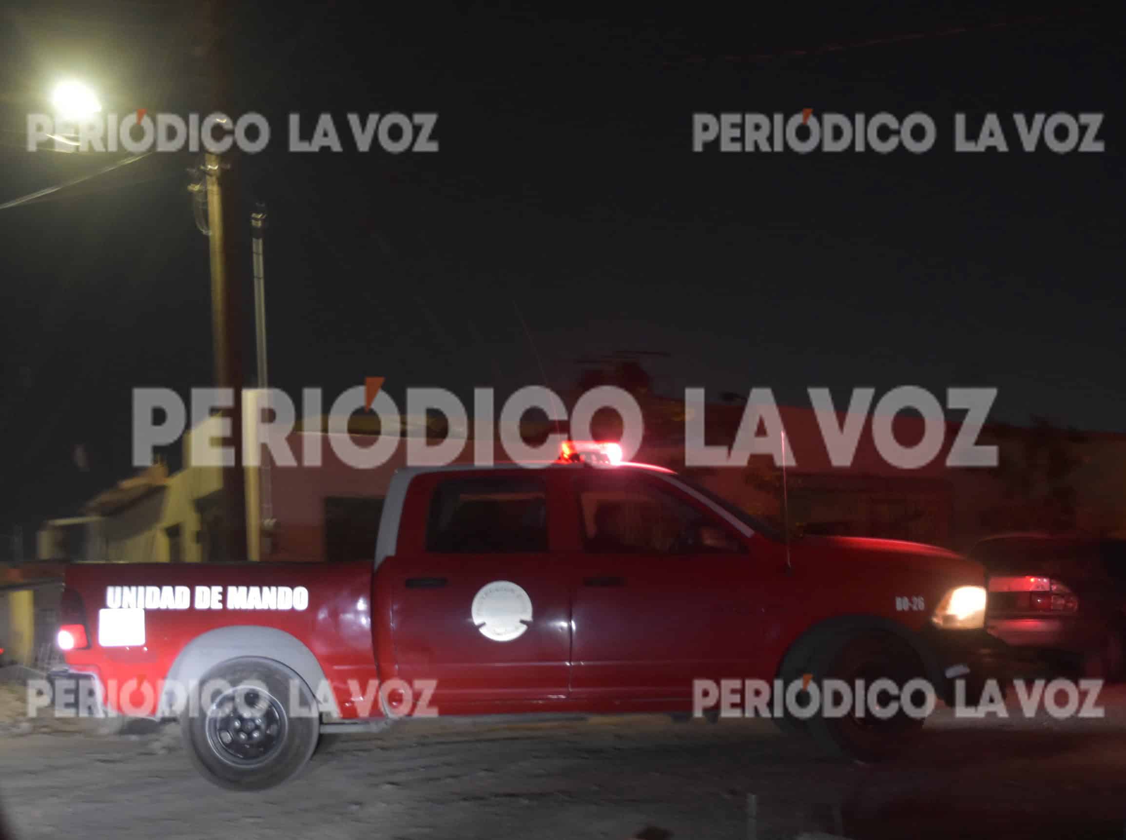 Enjambre de avispas genera temor en colonia Progreso de Monclova