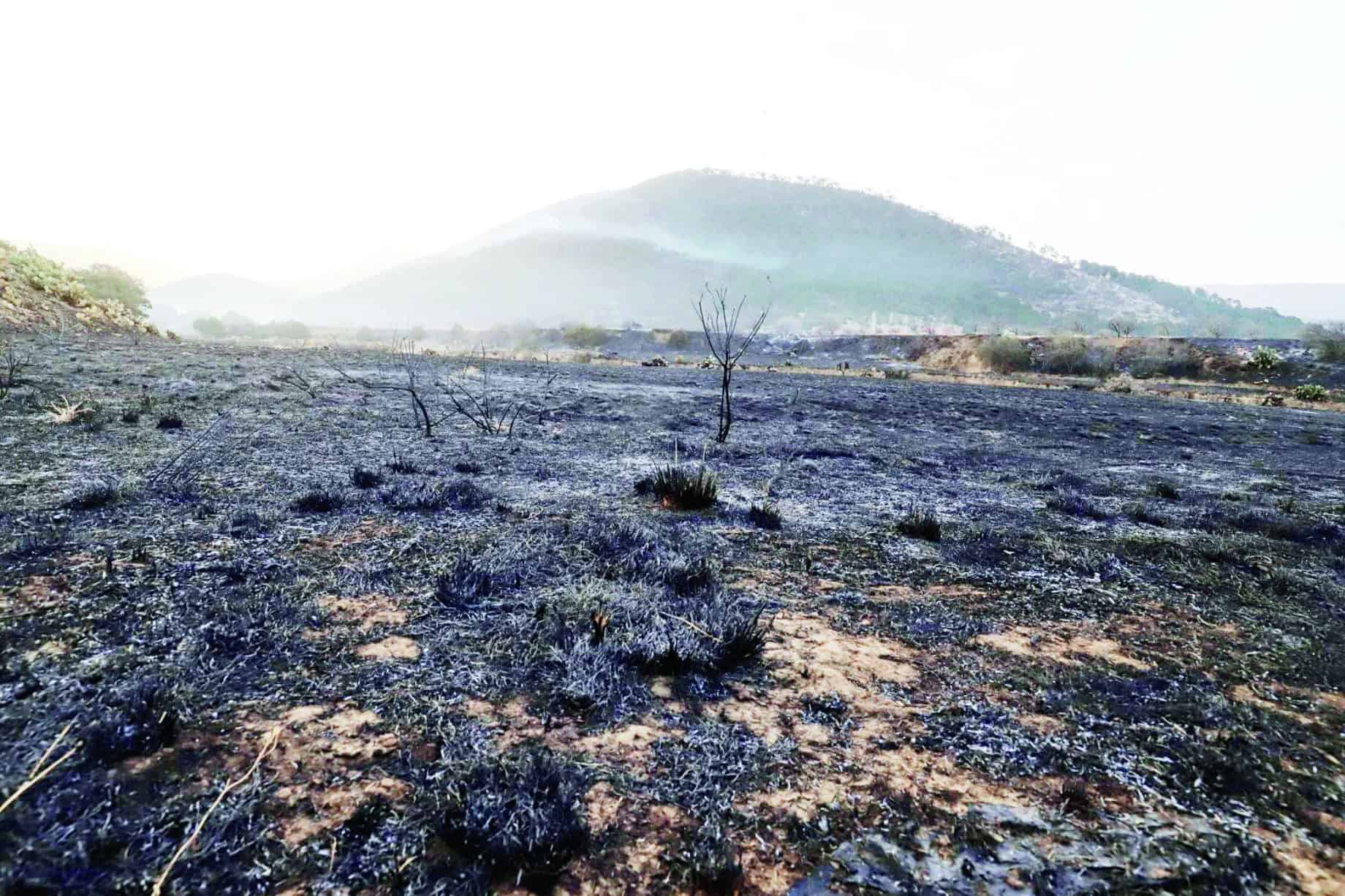 Intensifican acciones para prevenir incendios forestales en Coahuila