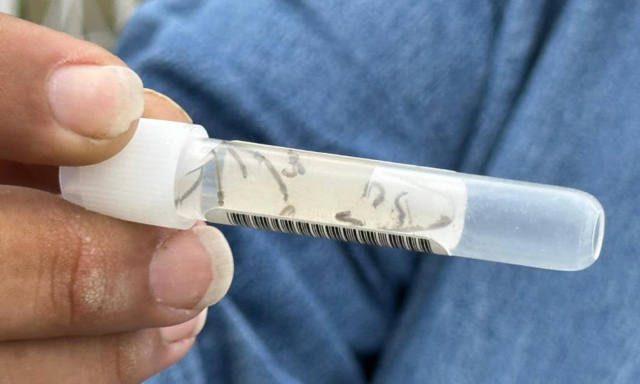 Personal sanitario realiza encuestas para controlar el dengue