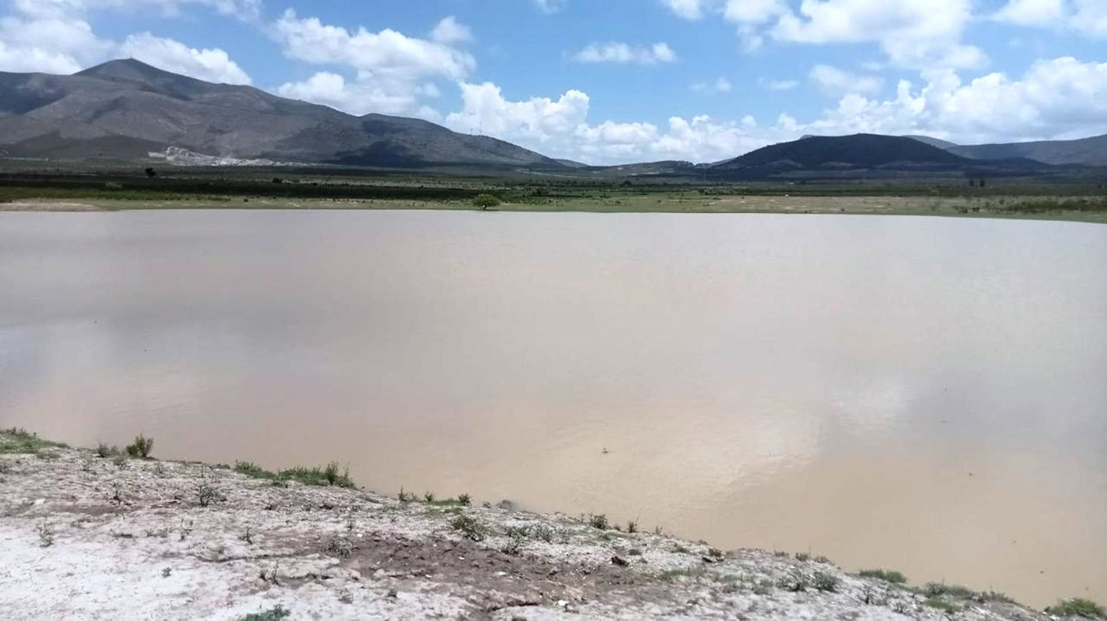 Benefician lluvias al campo saltillense