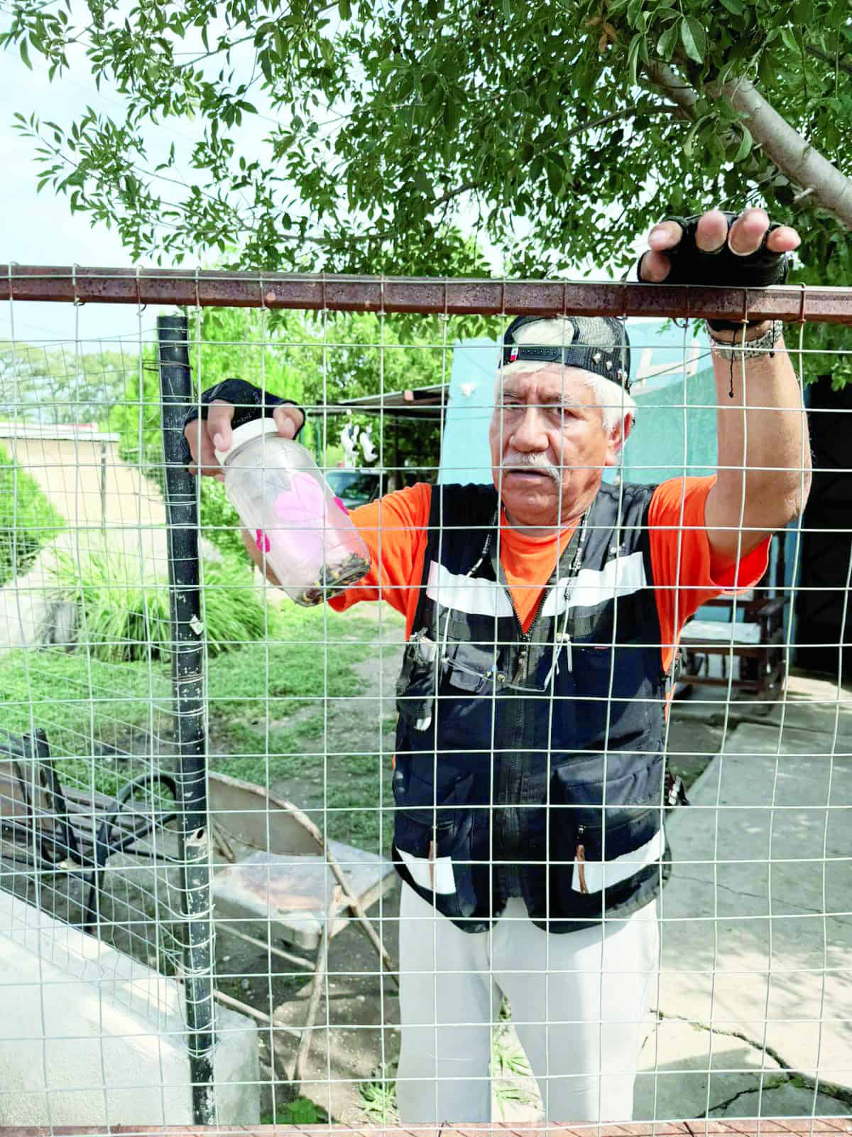 Avistan coralillo en la Infonavit-Reforma