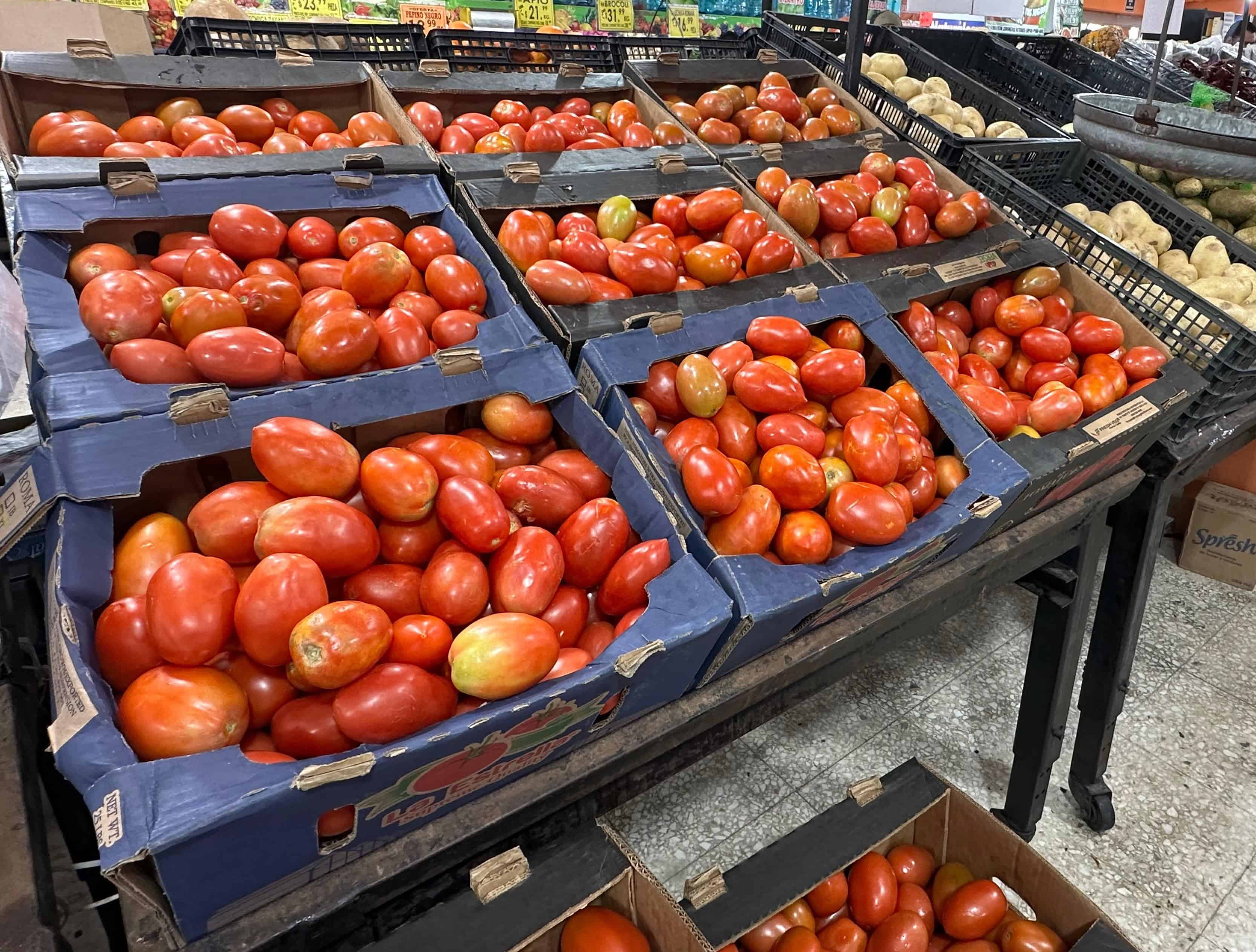 Aumenta tensión por arancel al tomate: comerciantes prevén alza de precios de hasta 20%