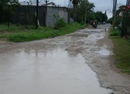 Ciudadanos de Allende tapan baches ante abandono del gobierno municipal
